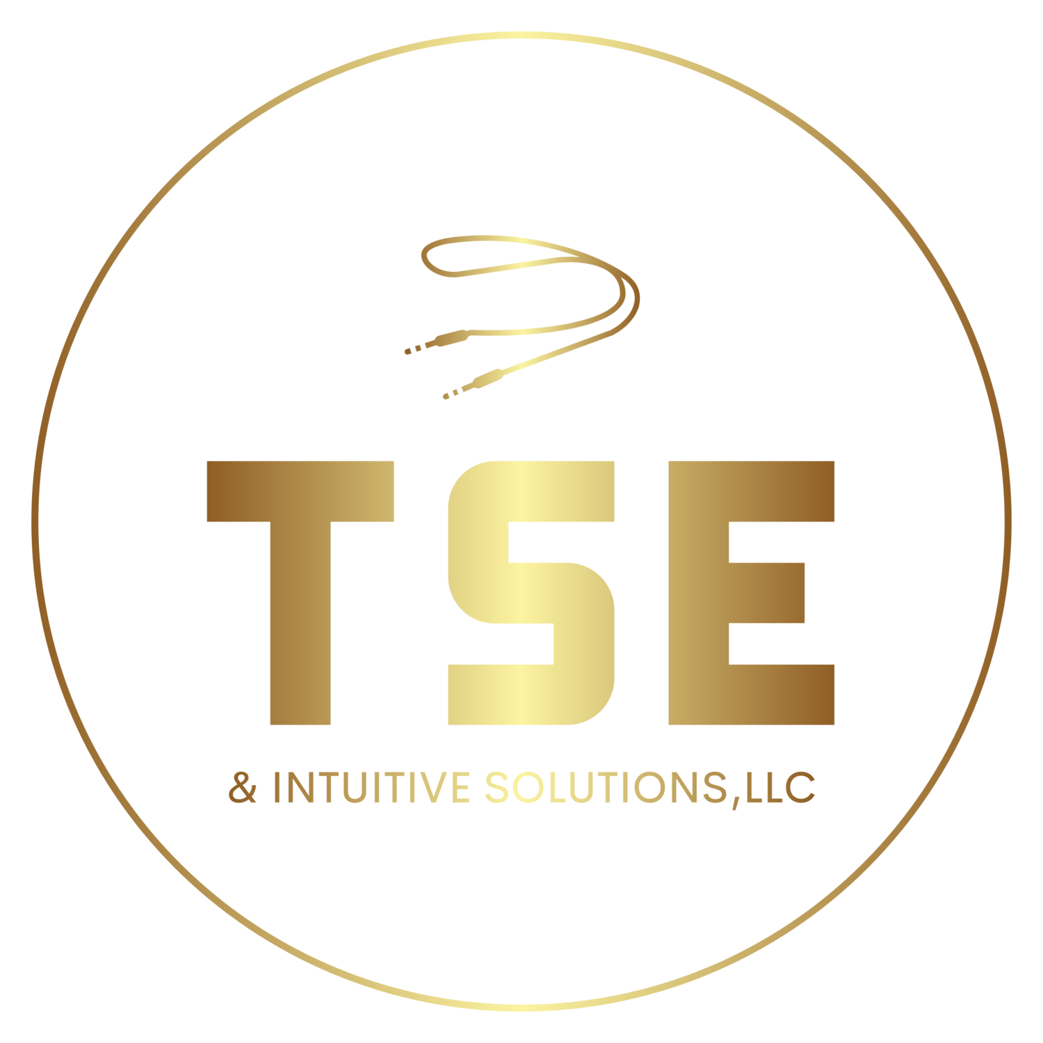 TSE &amp; Intuitive Solutions, LLC