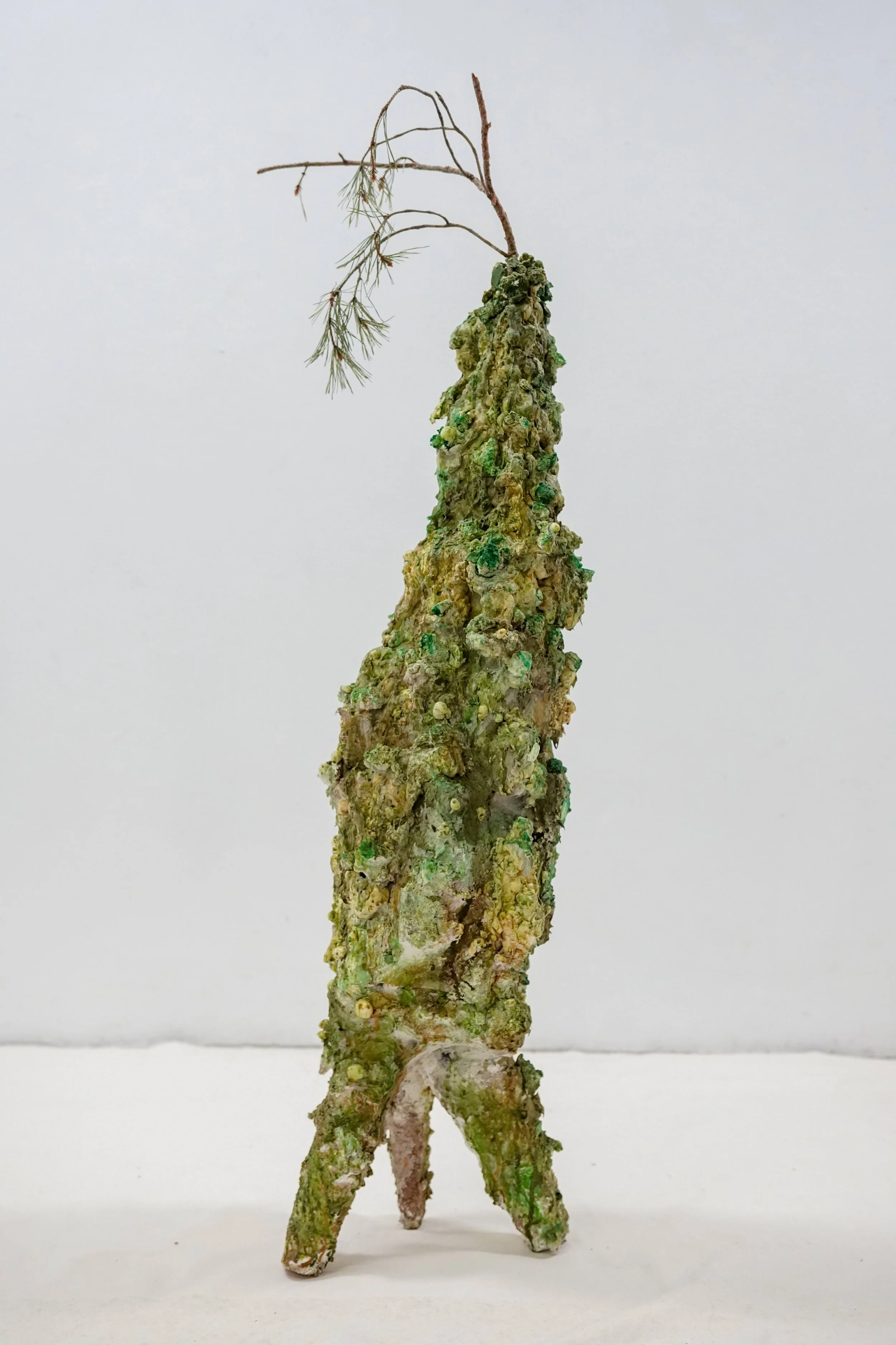 JA_I Am a Sapling.jpg