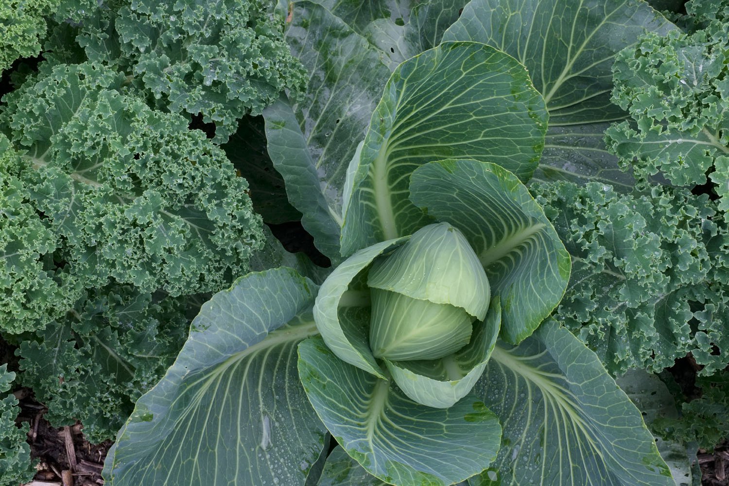 2025-10-15 PvL 06.jpg