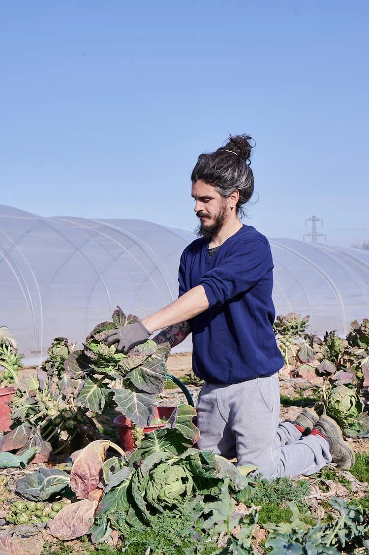 arvaia-csa-farmer-italy