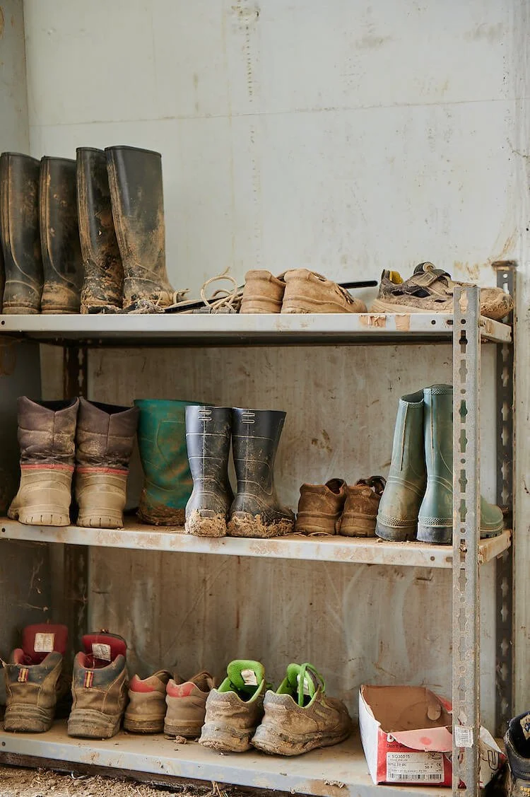 sustainable agriculture-csa-food-community