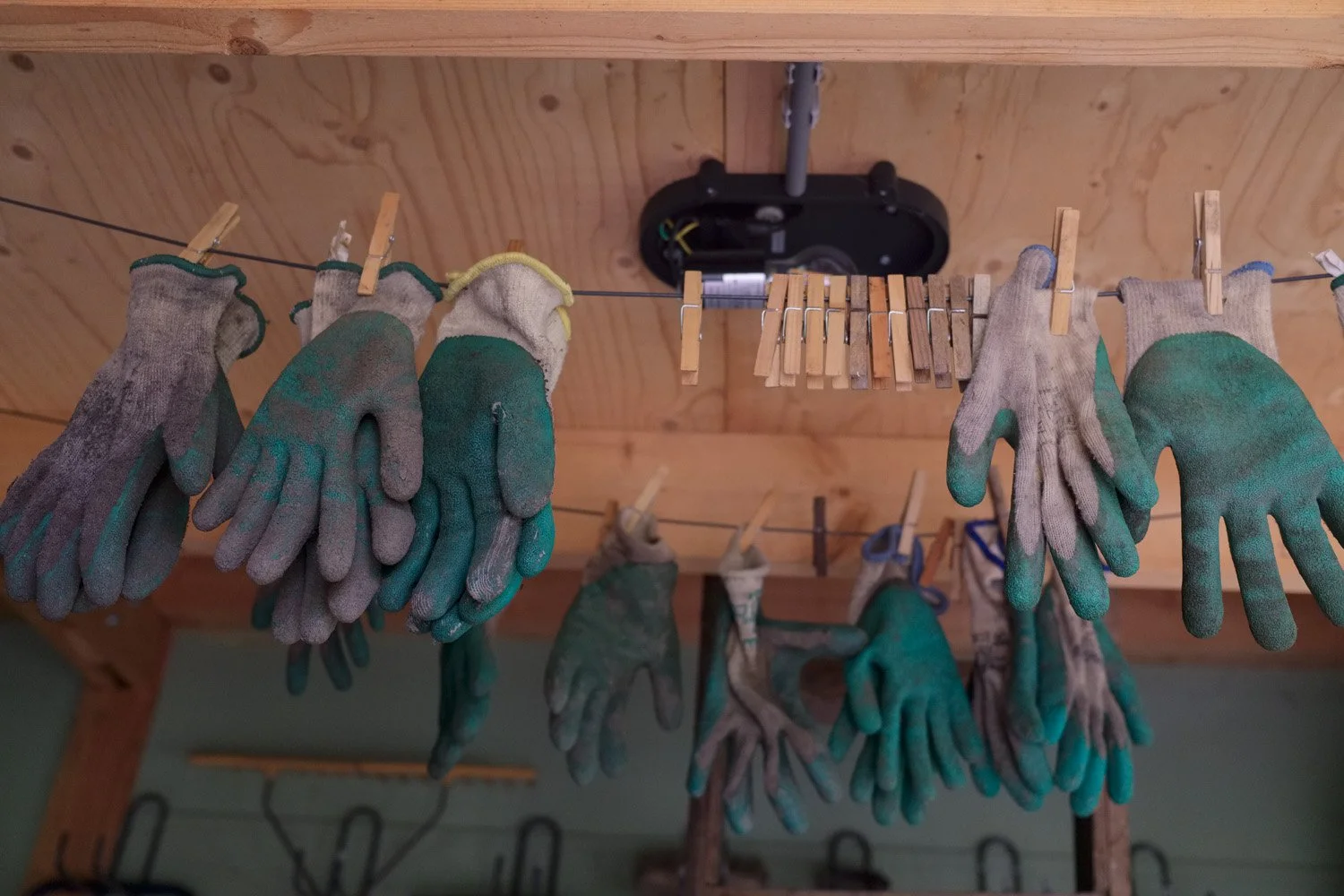 2025-10-15 PvL 17.jpg