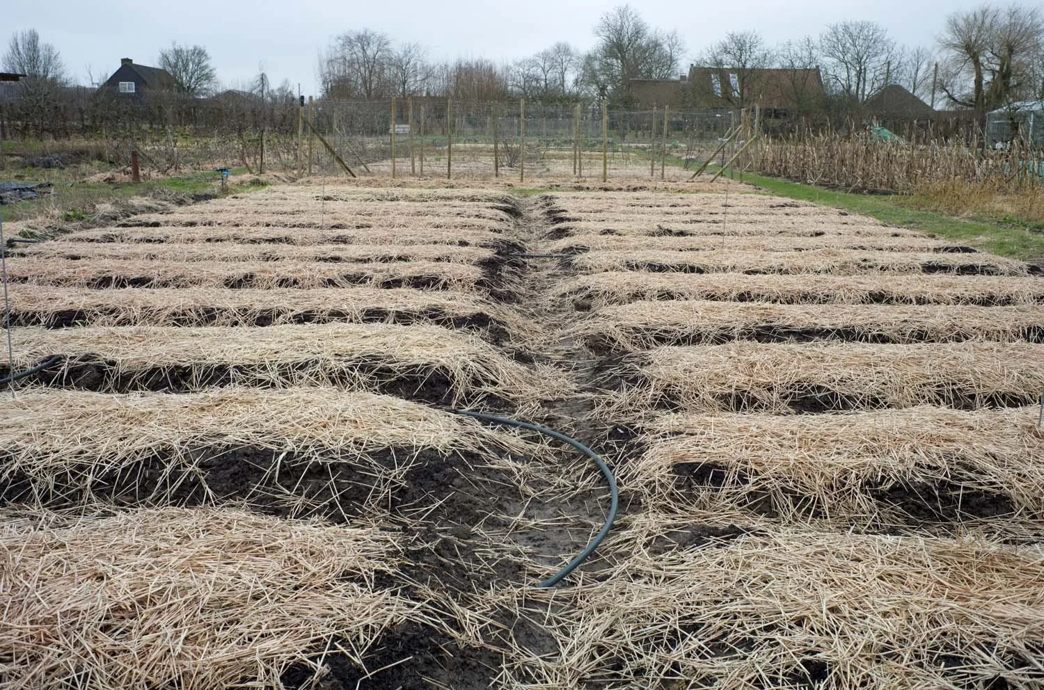 2024-02-02 PvL 03.jpg