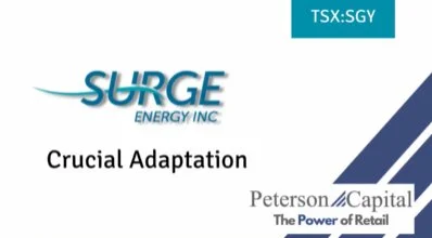 surge_video_thumbs7.jpg