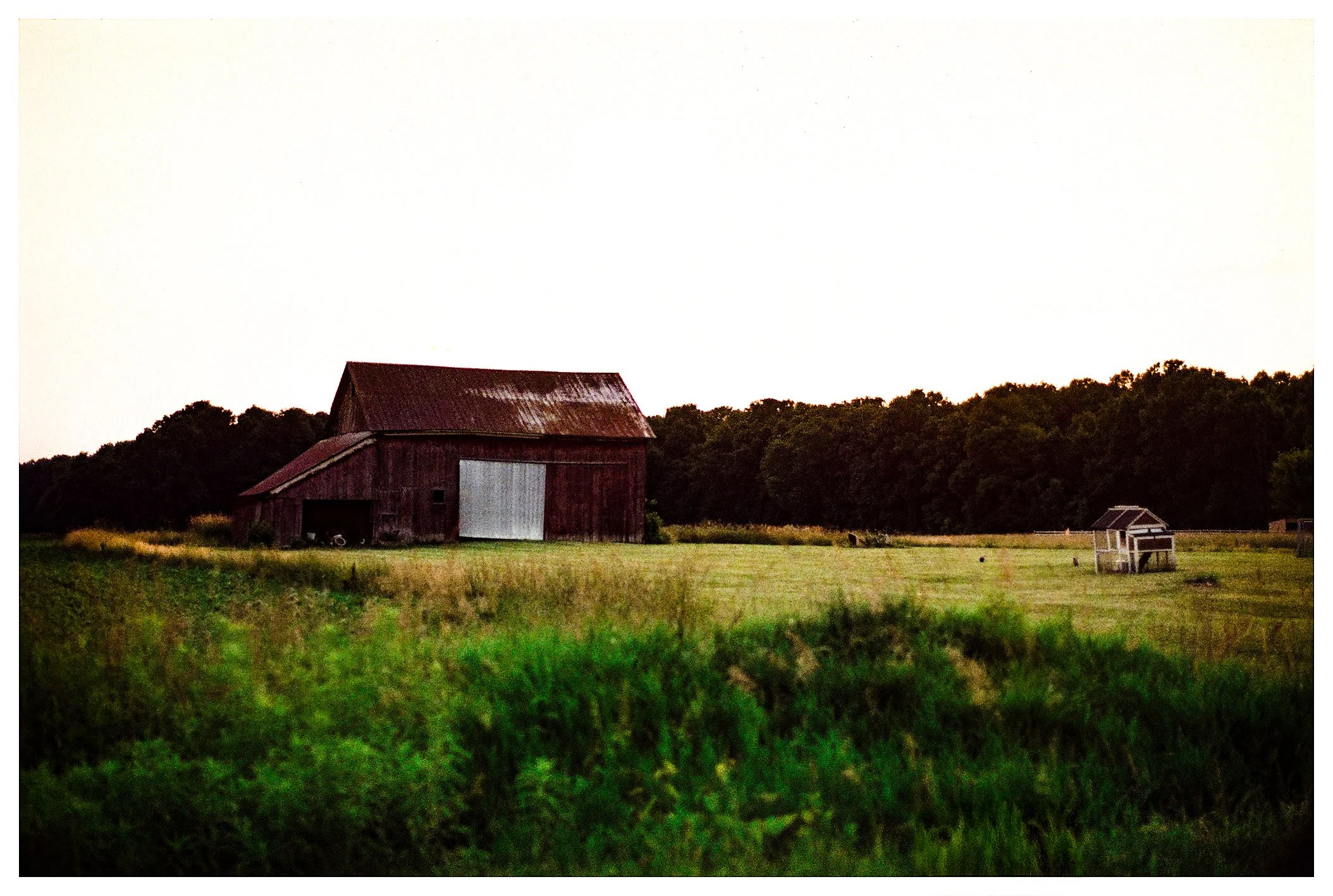 IMG_6408.jpeg