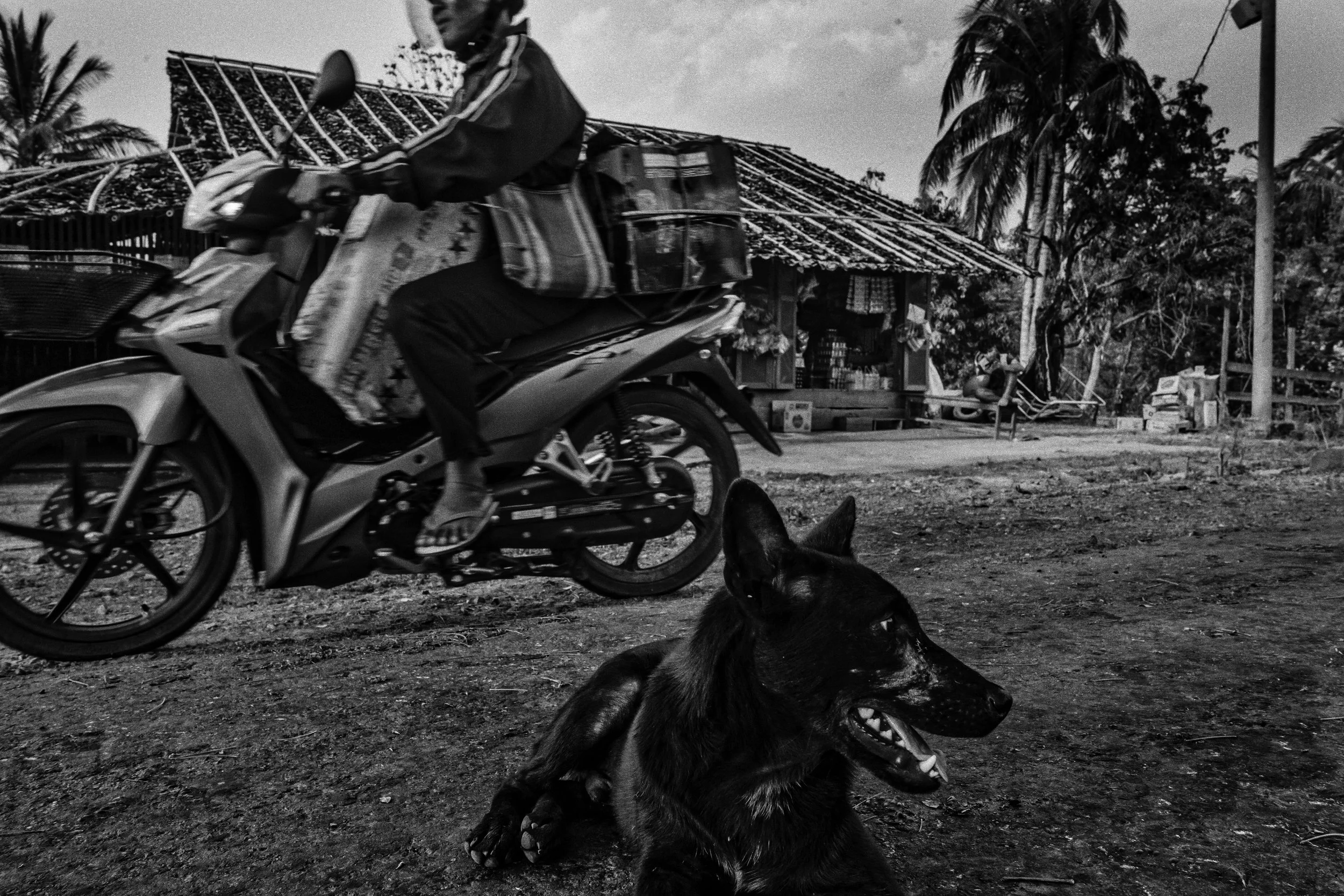4186Myanmar26BW.jpg