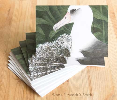 Albatross Pair Notecards
