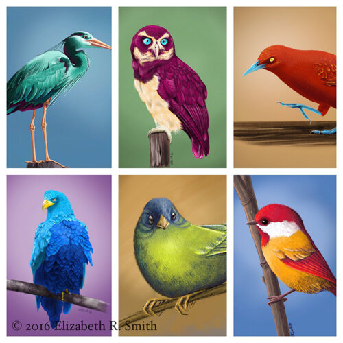 Fantasy Birds with Owl Printable for Coloring
