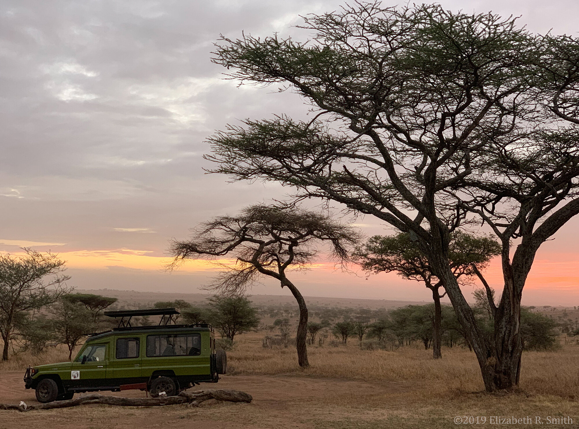 Welcome to Tanzania!