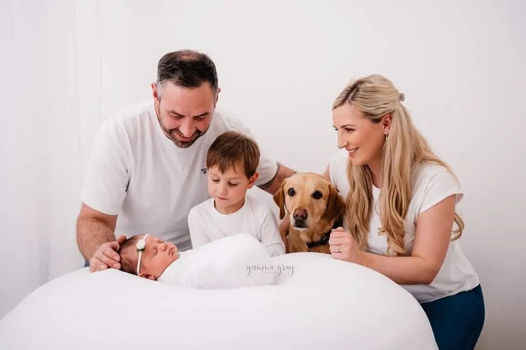 Cooper has a new human to watch over, as well as seeing to his little brother, and Mum too. She needs constant licks and cuddles. Who said a dogs life was easy?! G x x

#adogslife #dogbrother #angusfamilyphotographer #dundeefamilyphotographer #fifefa