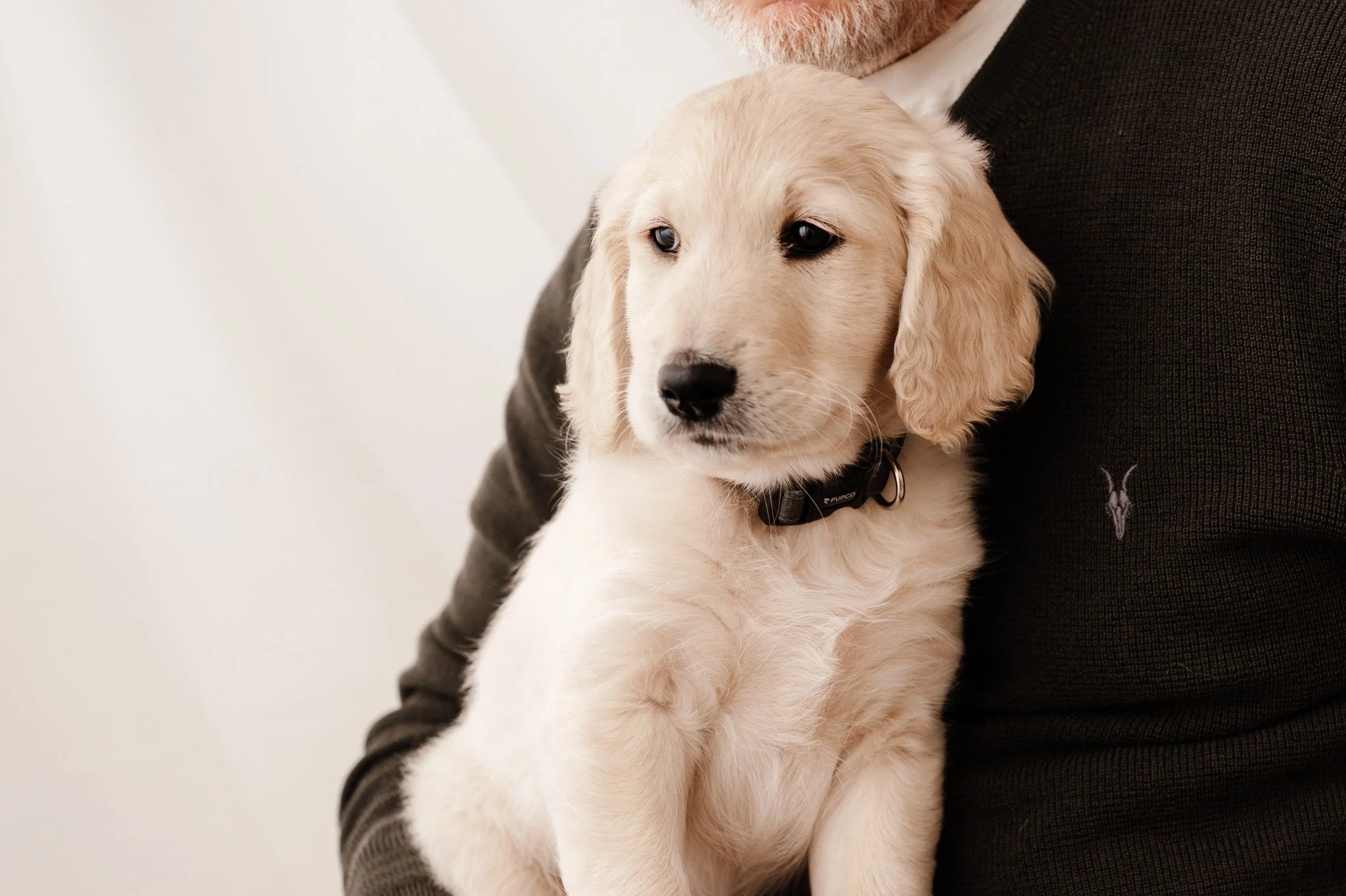 Introducing the newest member of the Gray family...Duggie. 🤍

Big surprise for the boys who didn't have clue. 

All training tips welcome!! Feel free to post your tips and a photo of your own gorgeous pups below...I am fully in puppy obsession mode!