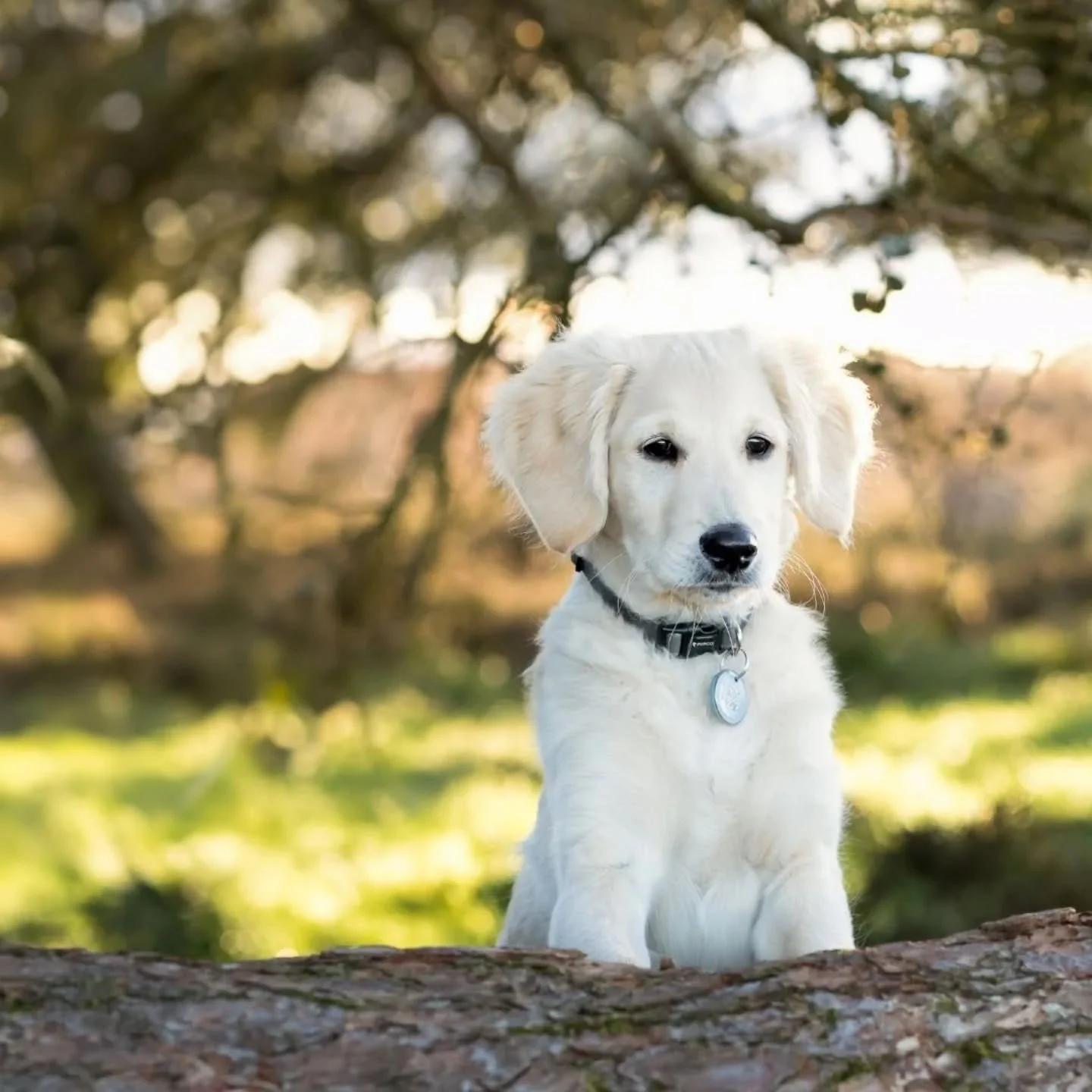 I wish we had done this years ago. 🤍