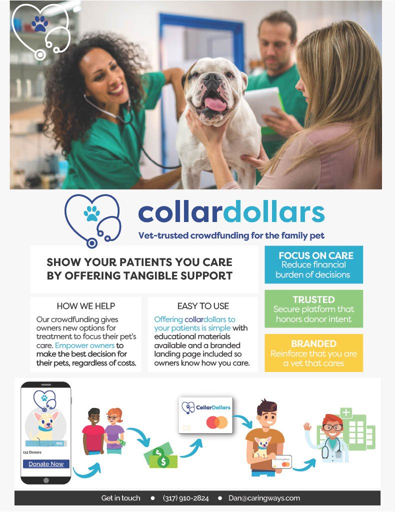 CollarDollars 1-pager.jpg