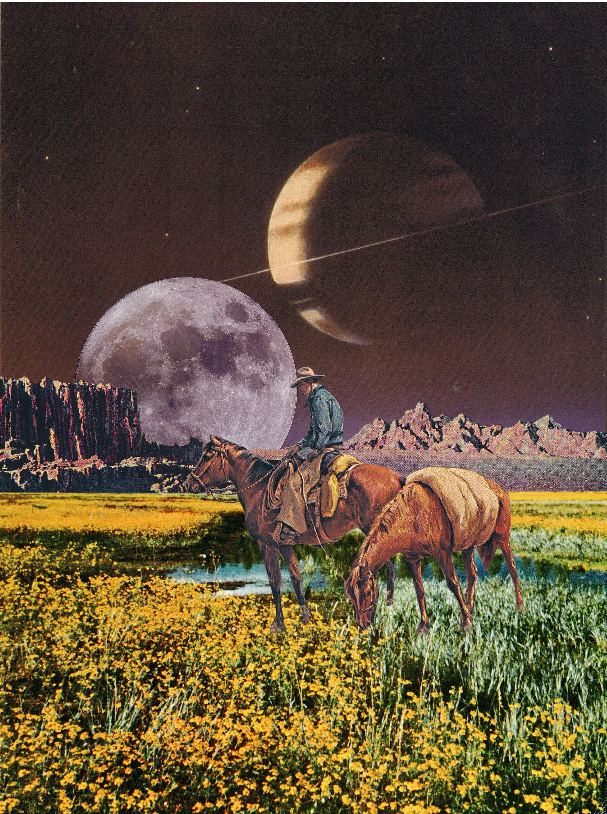 cosmiccowboyprint 2.PNG