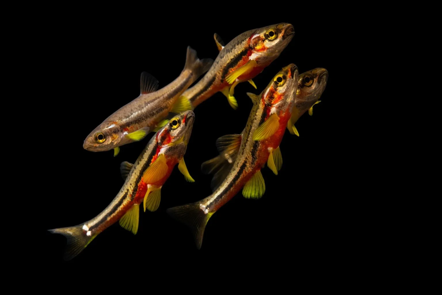 Photo by Joel Sartore