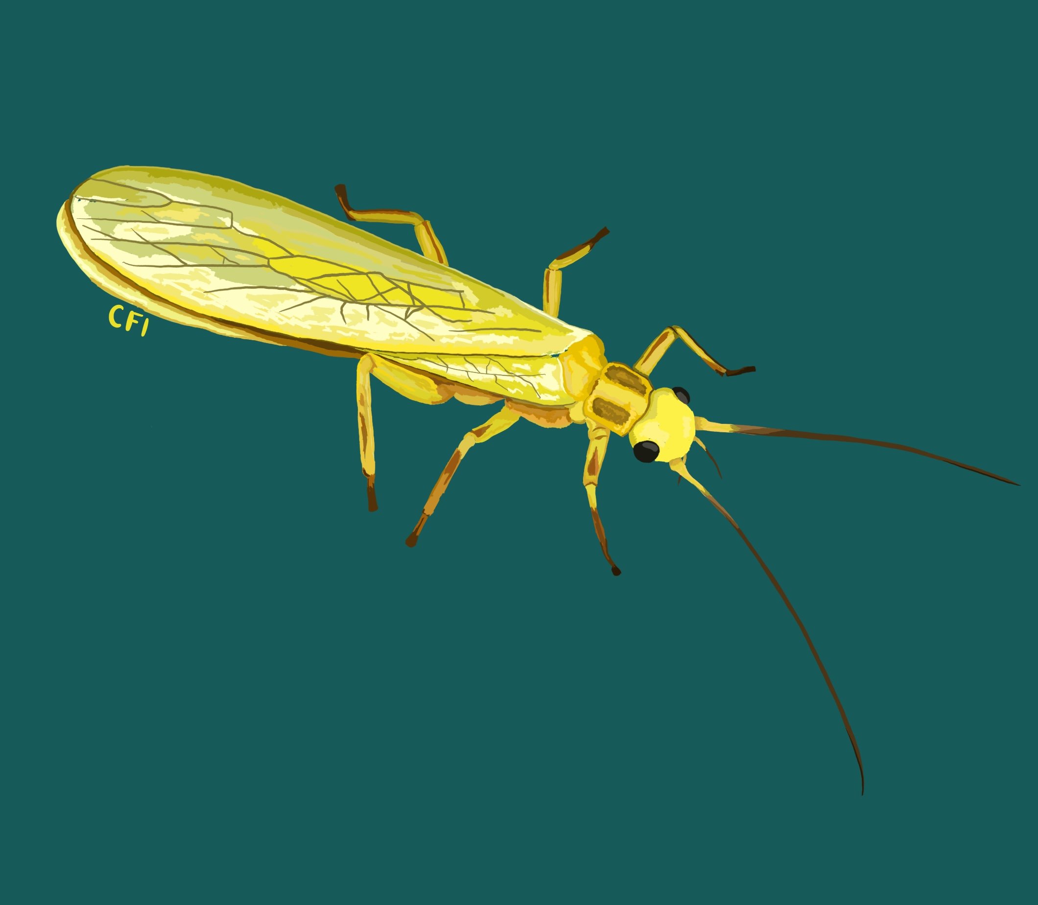 EEAE4100-670C-4429-AF98-62DD0EBAF628.jpeg