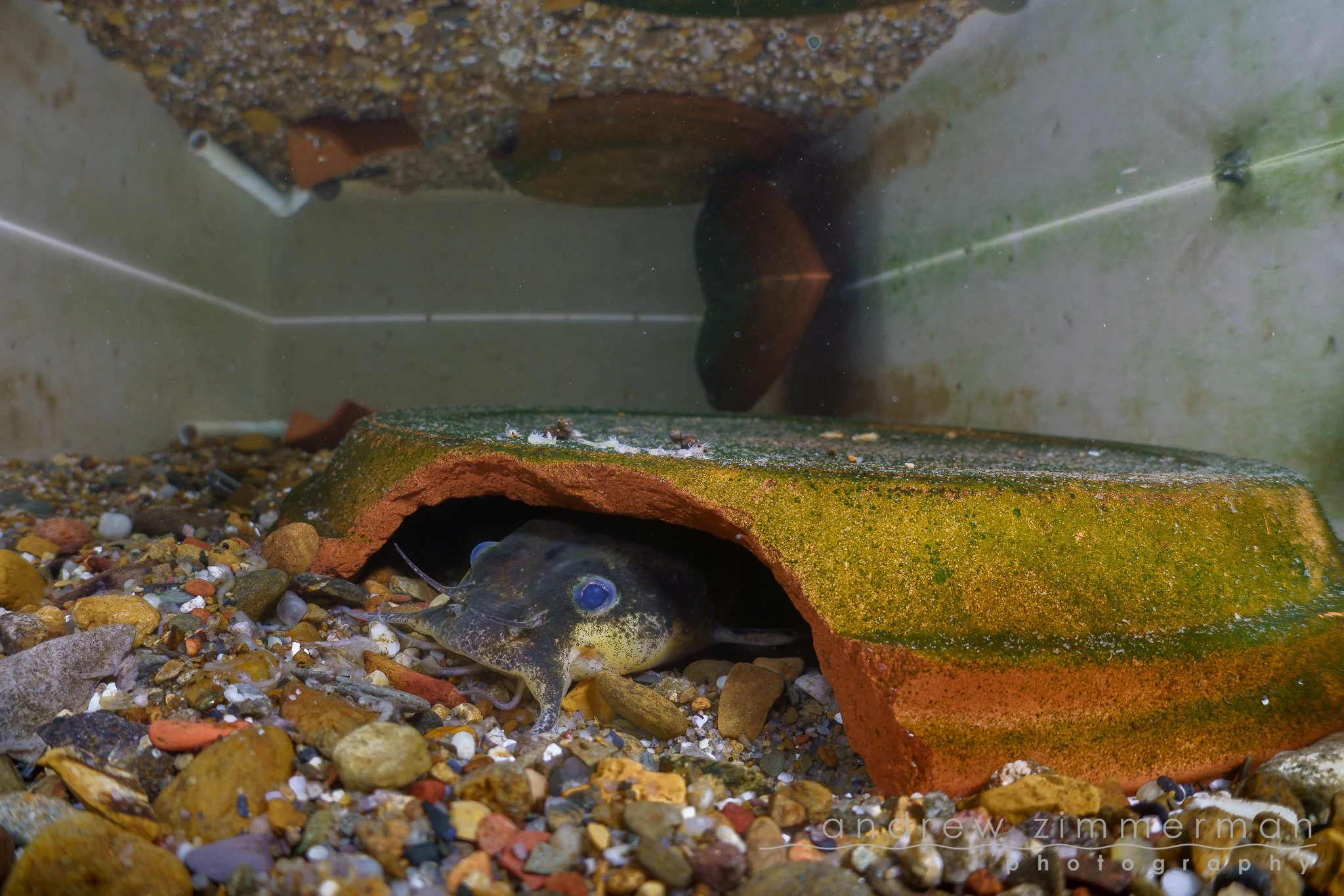 February 2026: Conservation Roundup