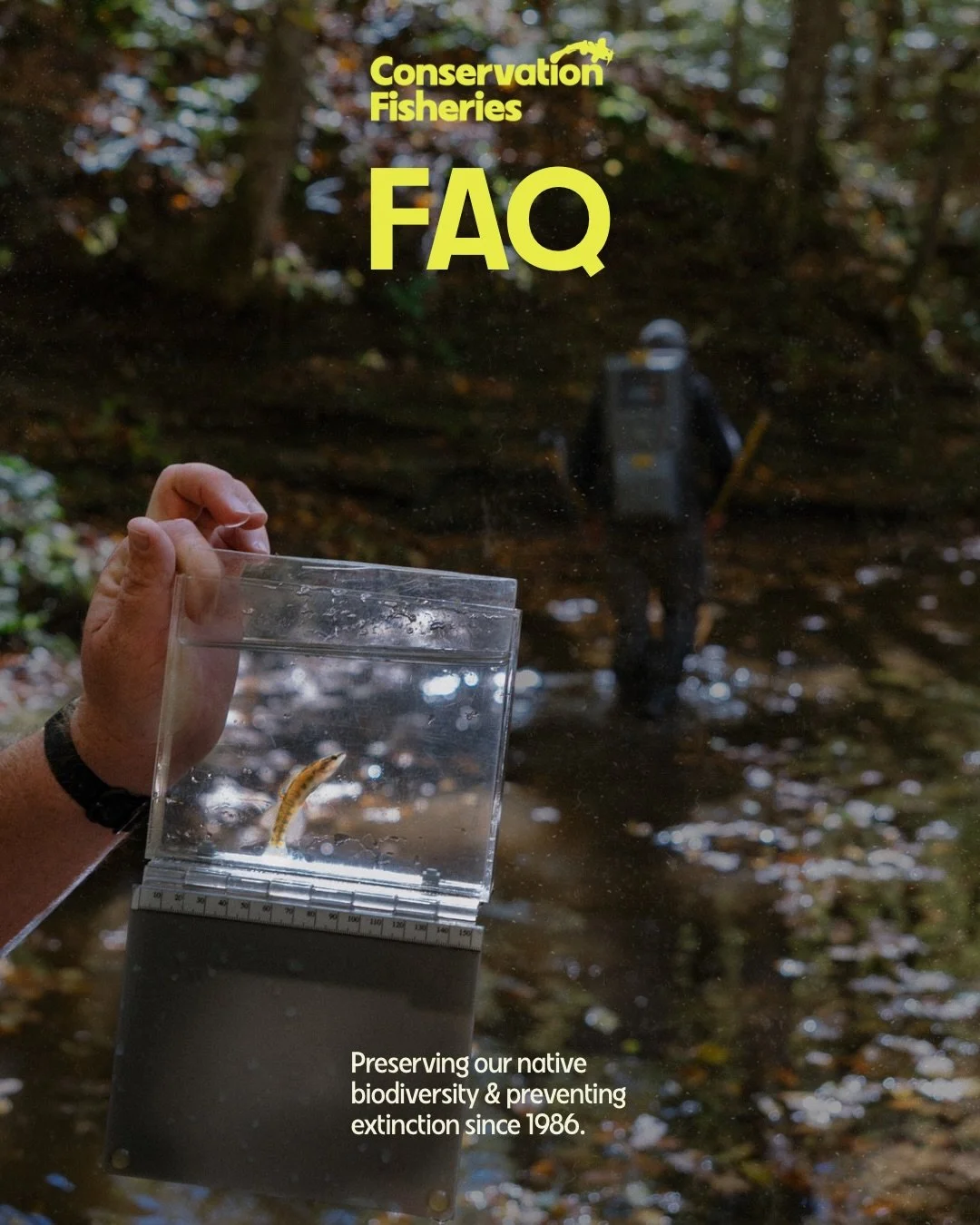 We&rsquo;re messaged every day by y&rsquo;all and while we love getting to chat, only one person runs all of the socials! To make our FAQ more accessible than just being on our website, here&rsquo;s a short informative post to answer the most common 