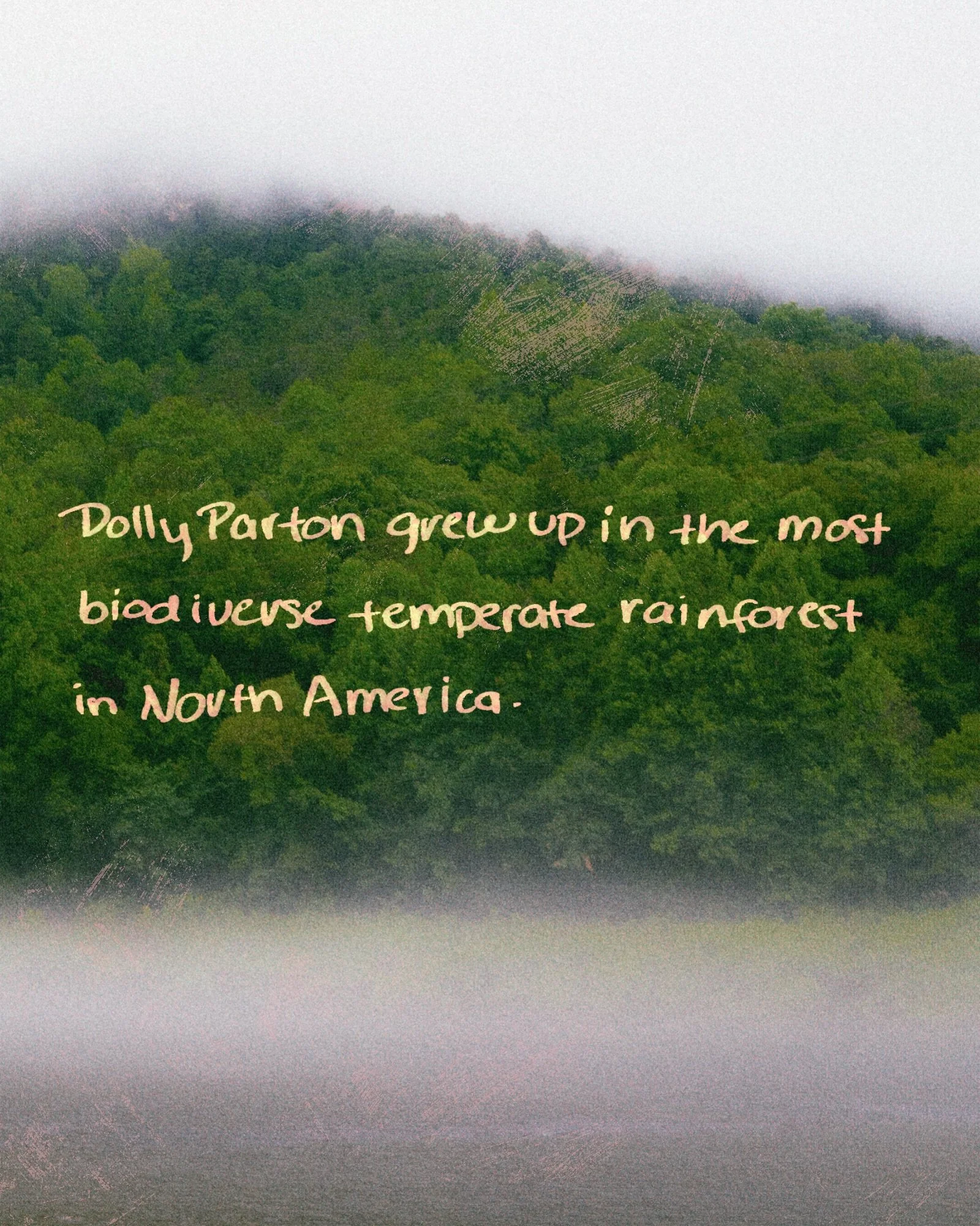 Over the last few days folks have shared how Dolly Parton has changed the perception of our mountains, advocated for education for all children, and encouraged folks to be themselves no matter what. We are so devastated here in East TN to lose our Sm