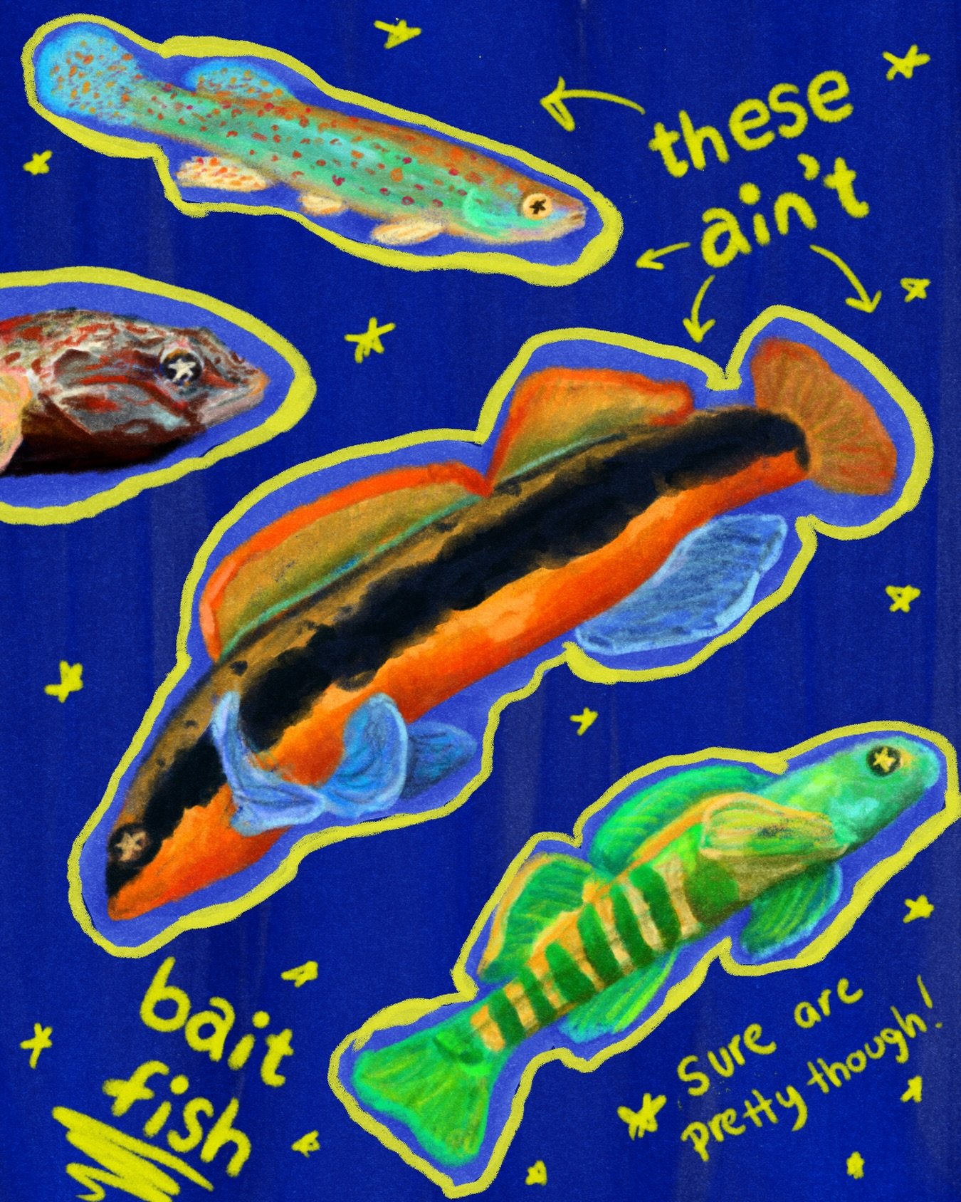 Instead of gathering some of the most beautiful species to use as bait, what if we spent several hours sitting in the same spot of our favorite river and stared at them? It&rsquo;s pretty fun, y&rsquo;all! 

@astertreat 

#fish #fishart #fishing