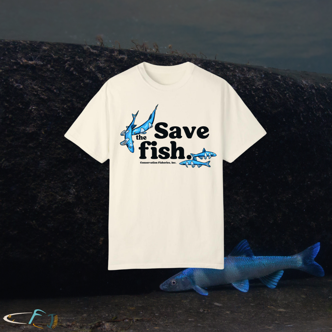 Save the Fish 2.0 — Conservation Fisheries