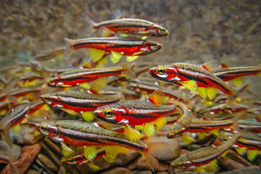 Photo by Isaac Szabo