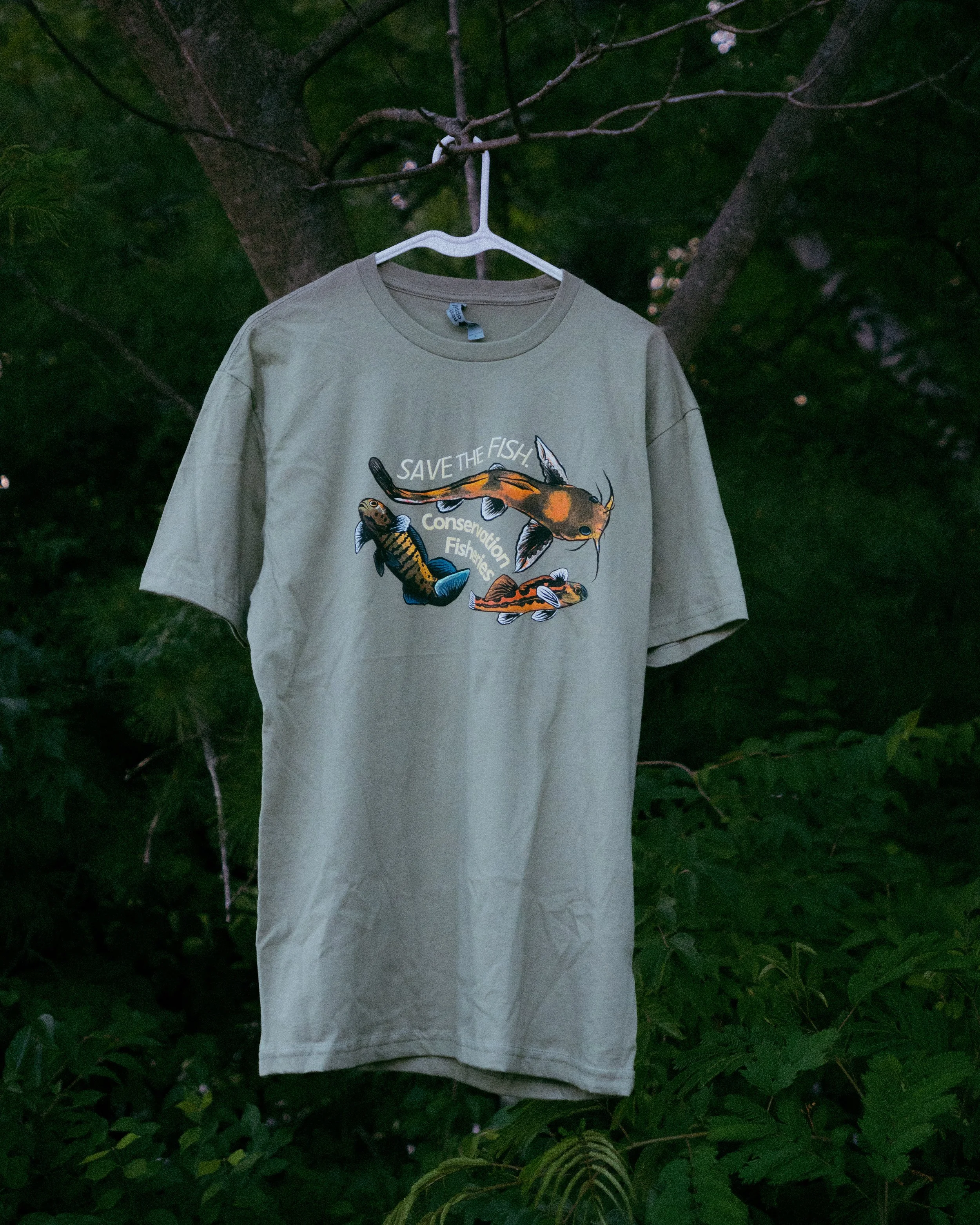 DSC07341-2.jpg