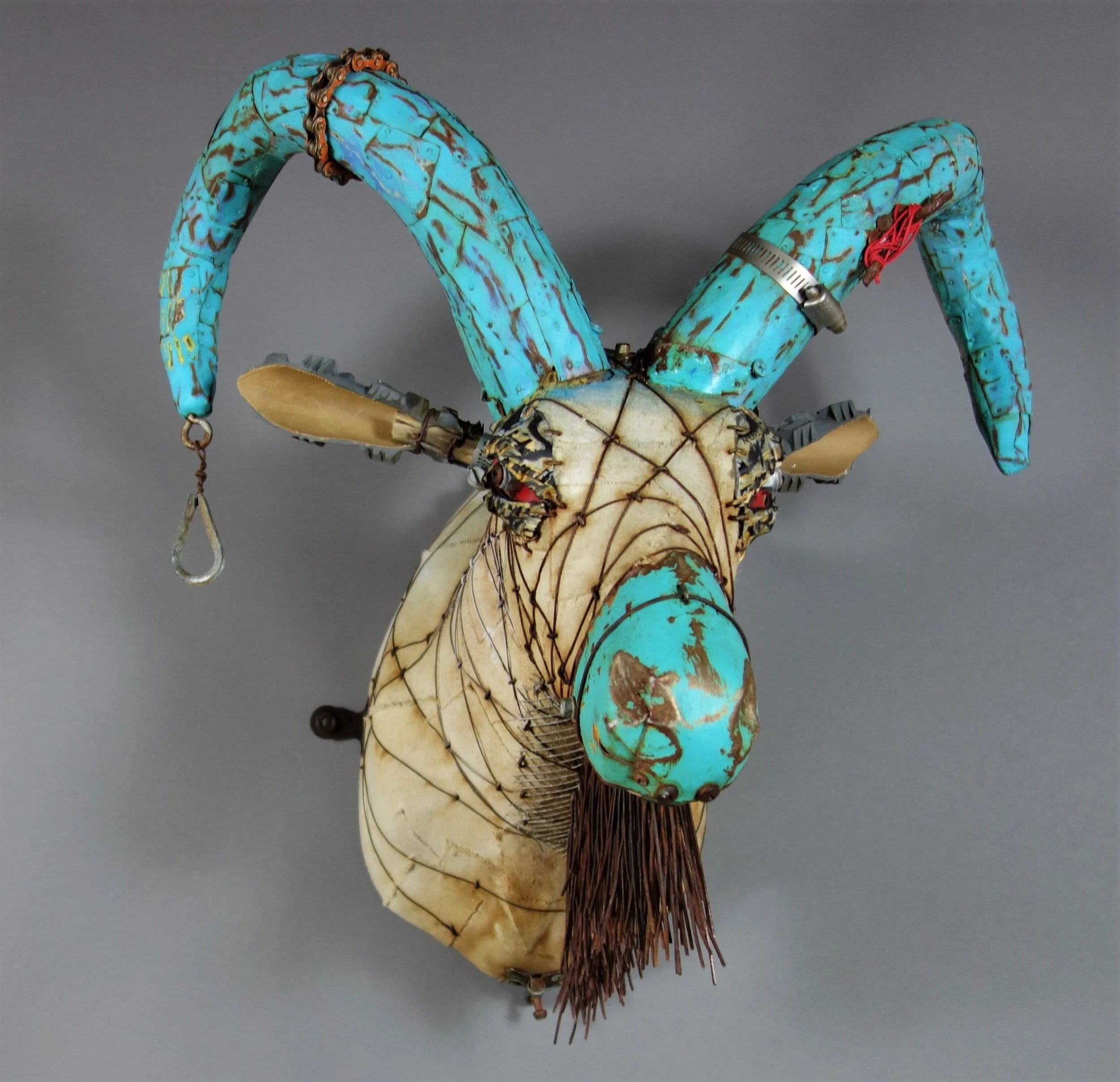 the blue-horned beauty.JPG