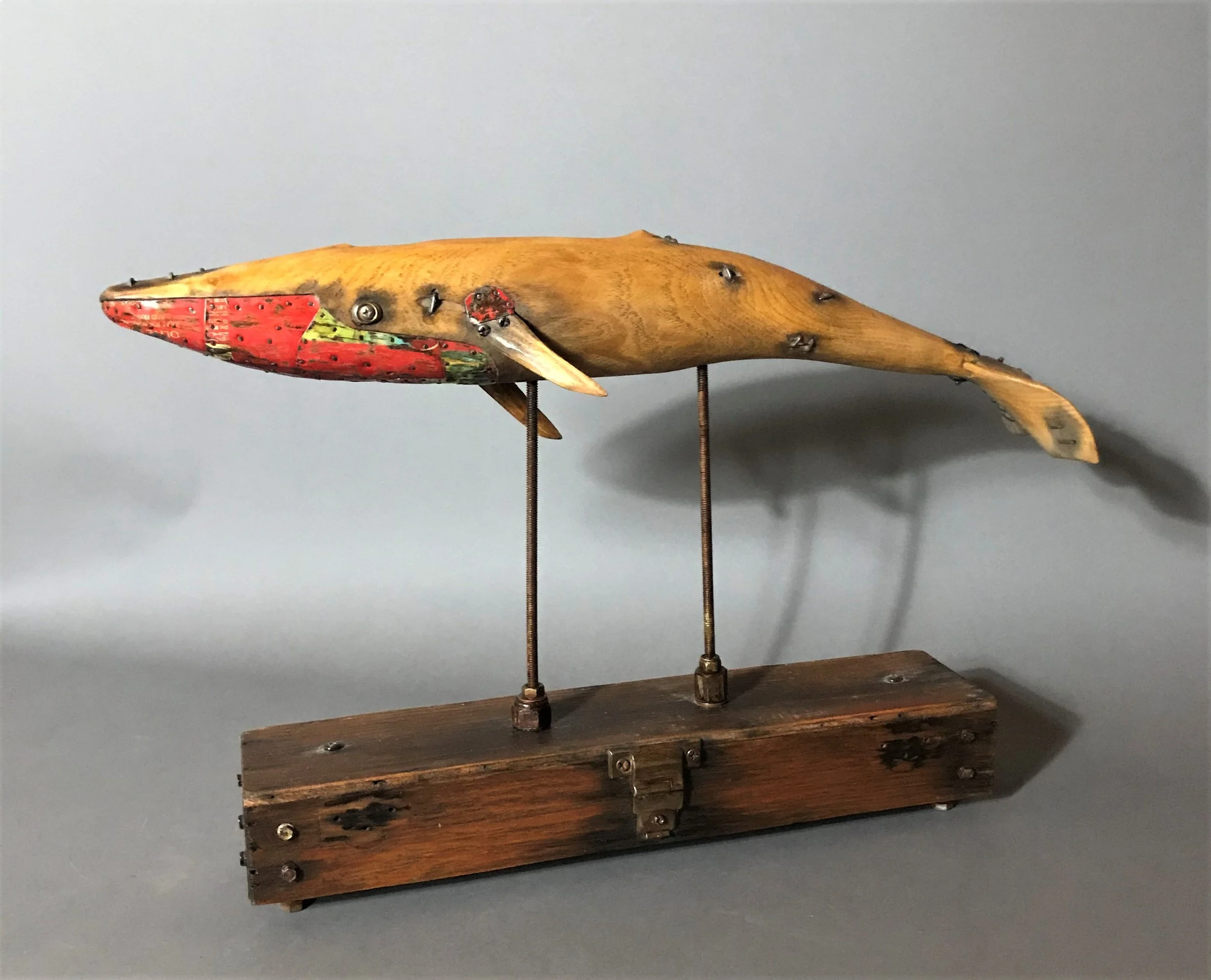 olive the blue whale.jpg