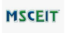 CaptureMSCEIT.PNG
