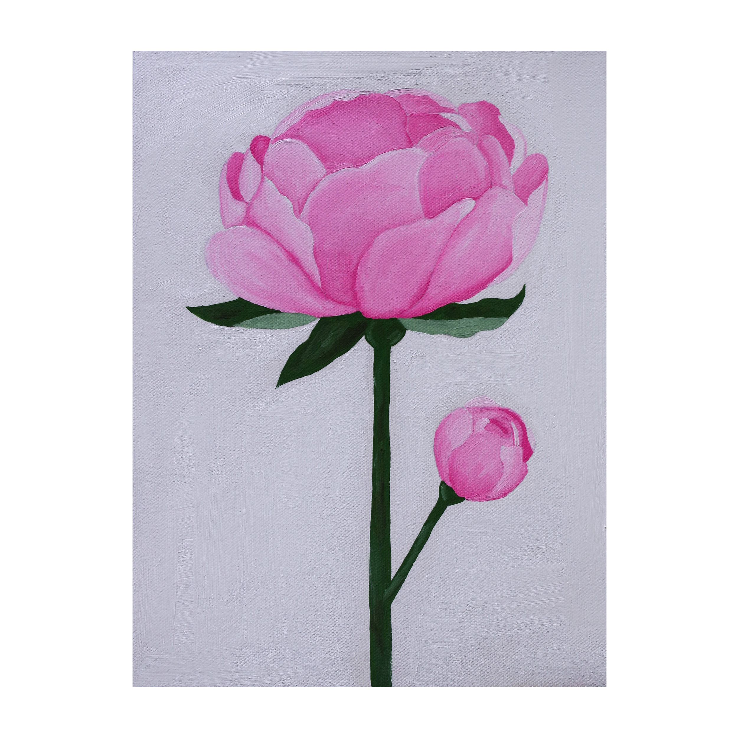 Budding Peony