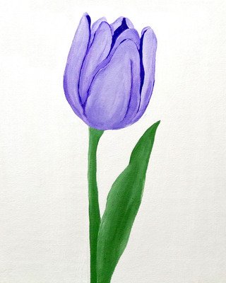 Tulip 8x10 Print
