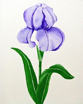 Iris 8x10 Print