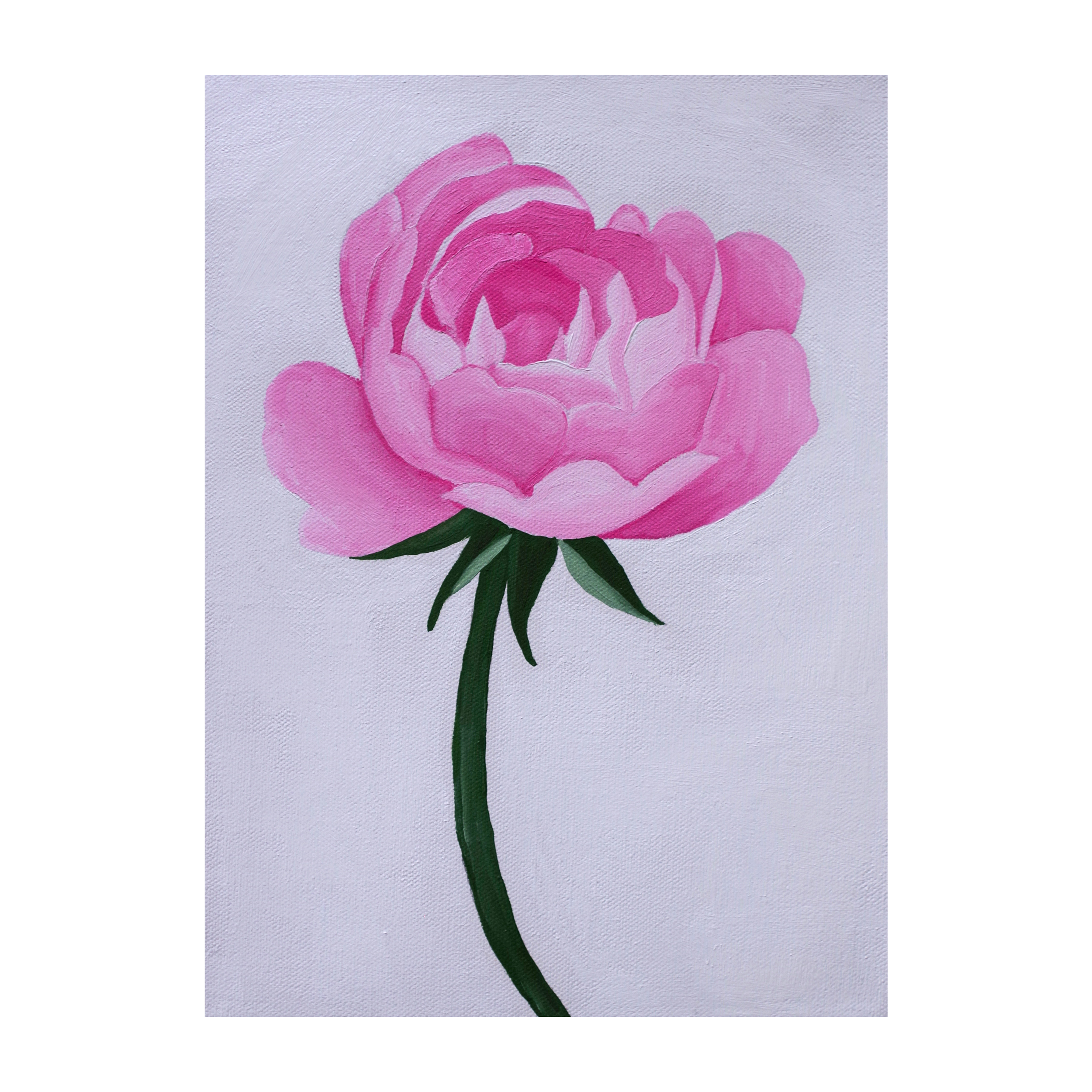 Blossoming Peony