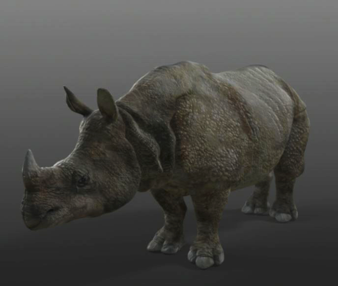 rhino_final3.png