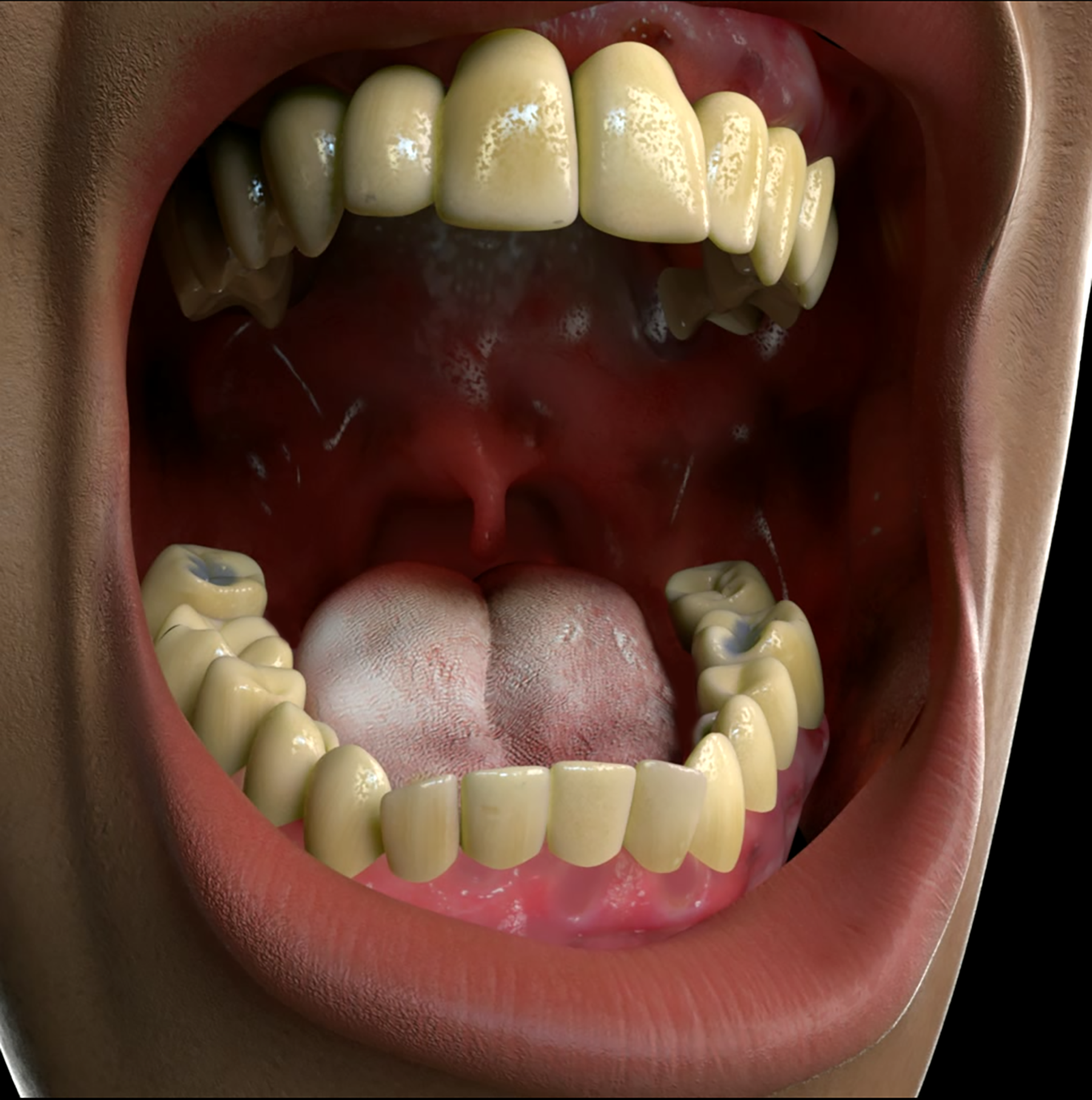 DENTAL_COM_Animation_FRAME.png