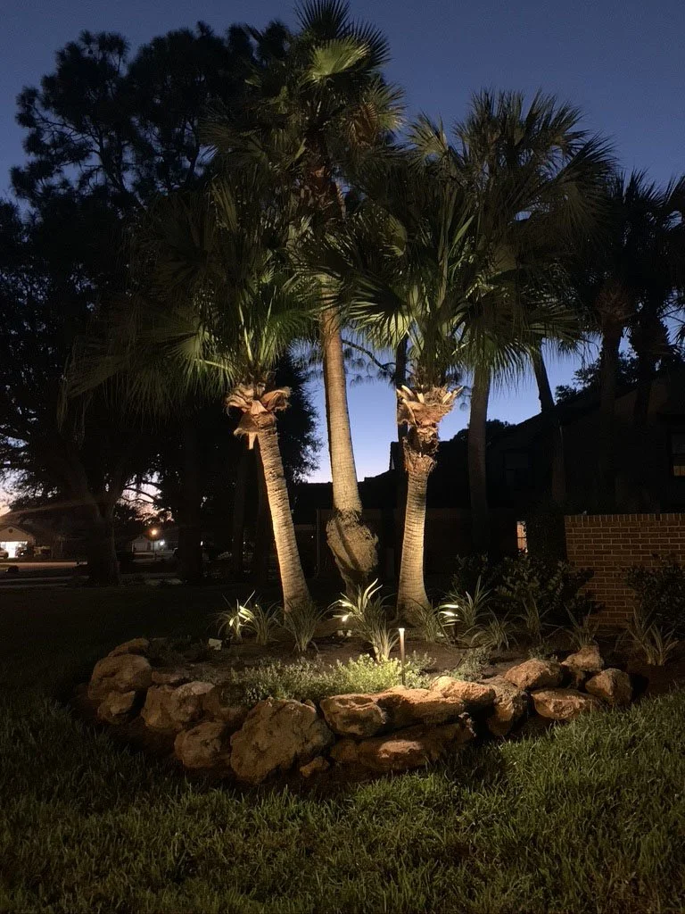 st andrews palm lights.jpg
