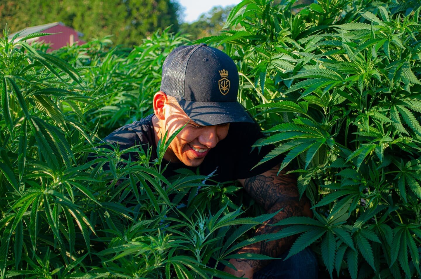 Time to get to work!💪 hope you all had a great weekend 💯 now time for the grind 🔥🔥🔥
.
.
.
.
.
.
.
.
.
.
.
.
.
.
#weed #cannabis #cannabiscommunity #cannabisculture #weedporn #weedleaf #weedlife #weedsociety #weedstagram420 #bud #420 #420daily #4