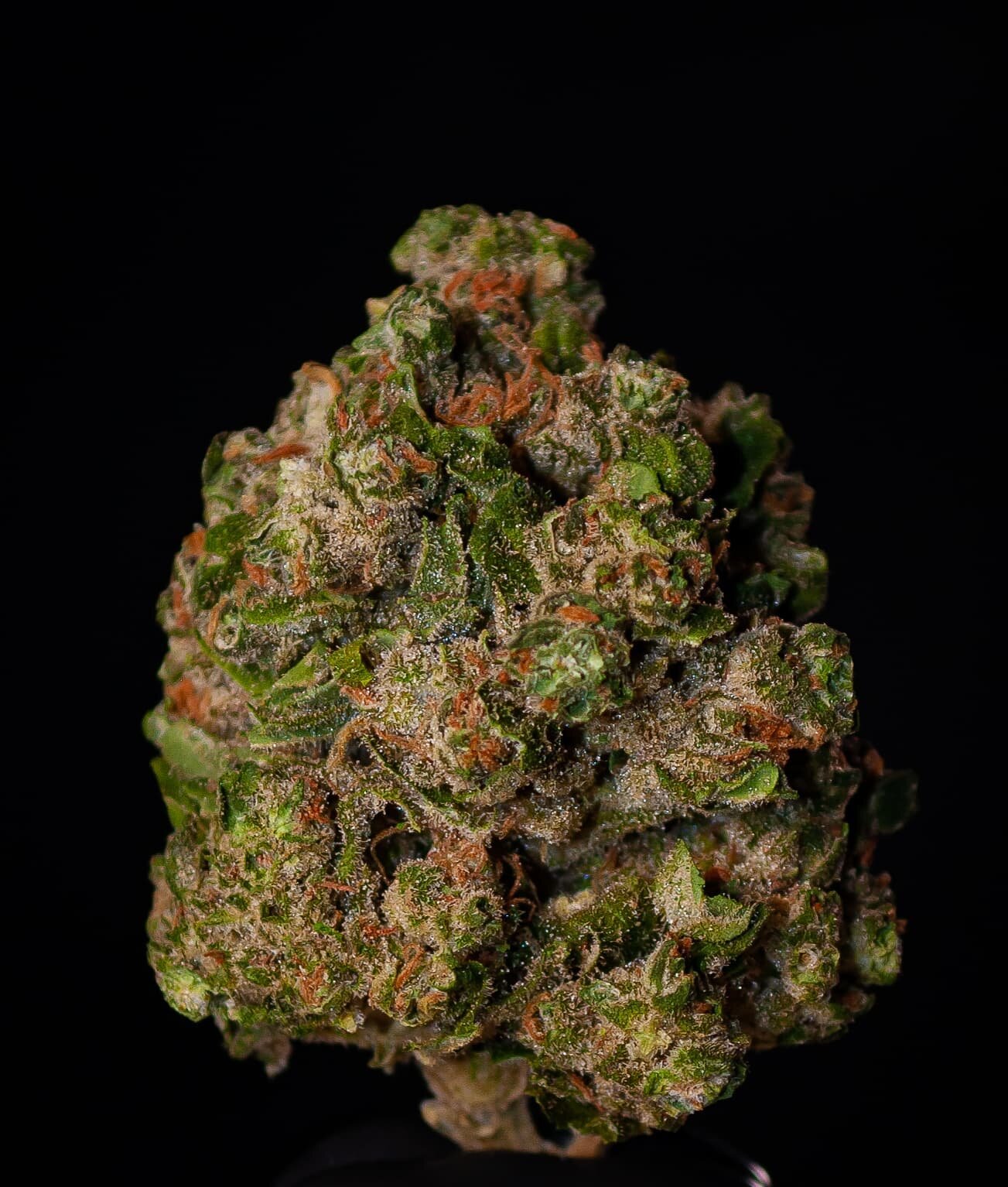 CHUNKY CHUNKY CHUNKY! Chunkadelic is a perfect hybrid for you creative minds out there🔥💦🔥💦
.
.
.
.
.
.
.
.
.
.
.
.
.
.
.
.
.
.
.
.
.
#weed #cannabis #cannabiscommunity #cannabisculture #weedporn #weedleaf #weedlife #weedsociety #weedstagram420 #b