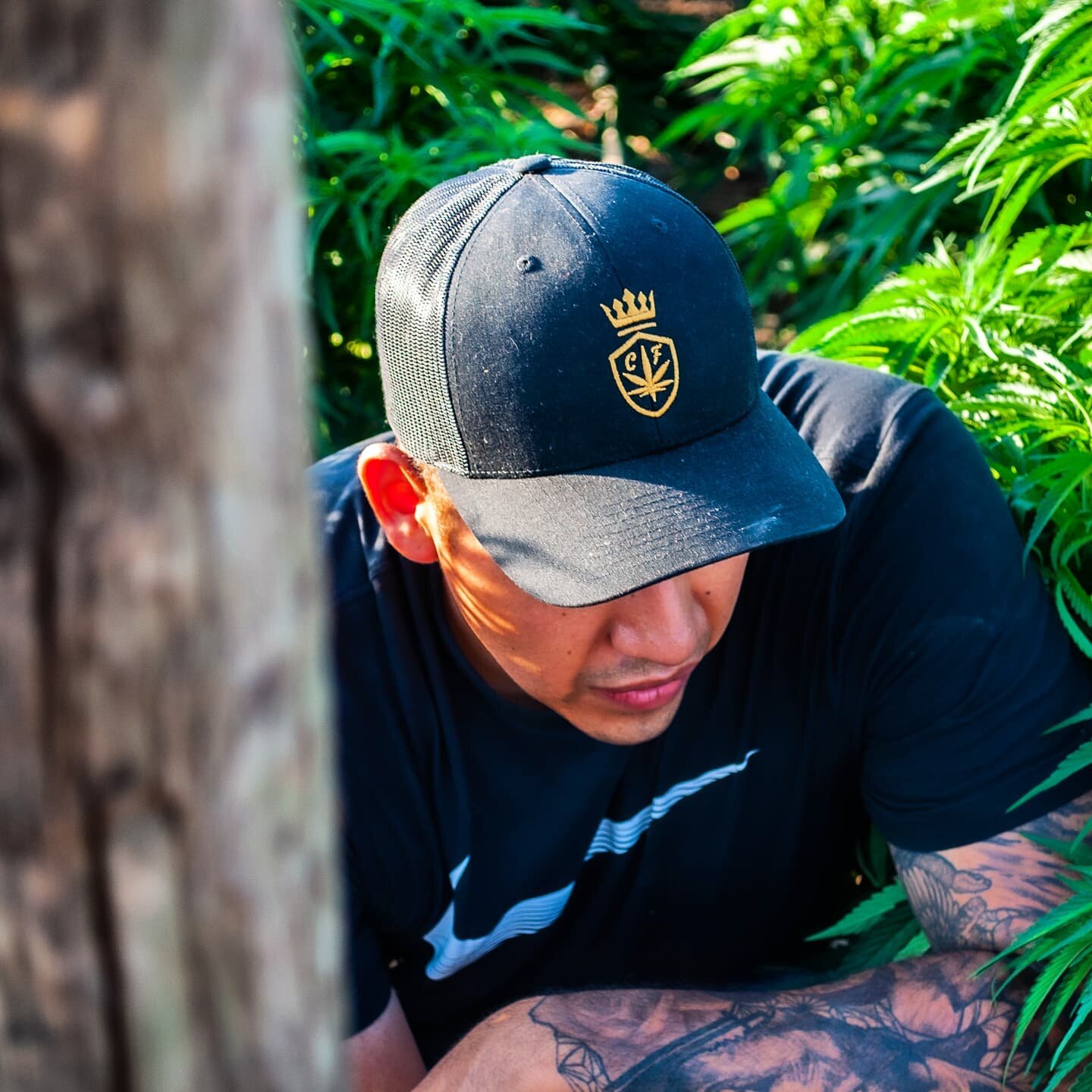 Half way through the day still going strong! Finish the day strong so you can start tomorrow even stronger 💪
.
.
.
.
.
.
.
.
.
.
.
.
.
.
.
.
.
.
.
.

#weed #cannabis #cannabiscommunity #cannabisculture #weedporn #weedleaf #weedlife #weedsociety #wee