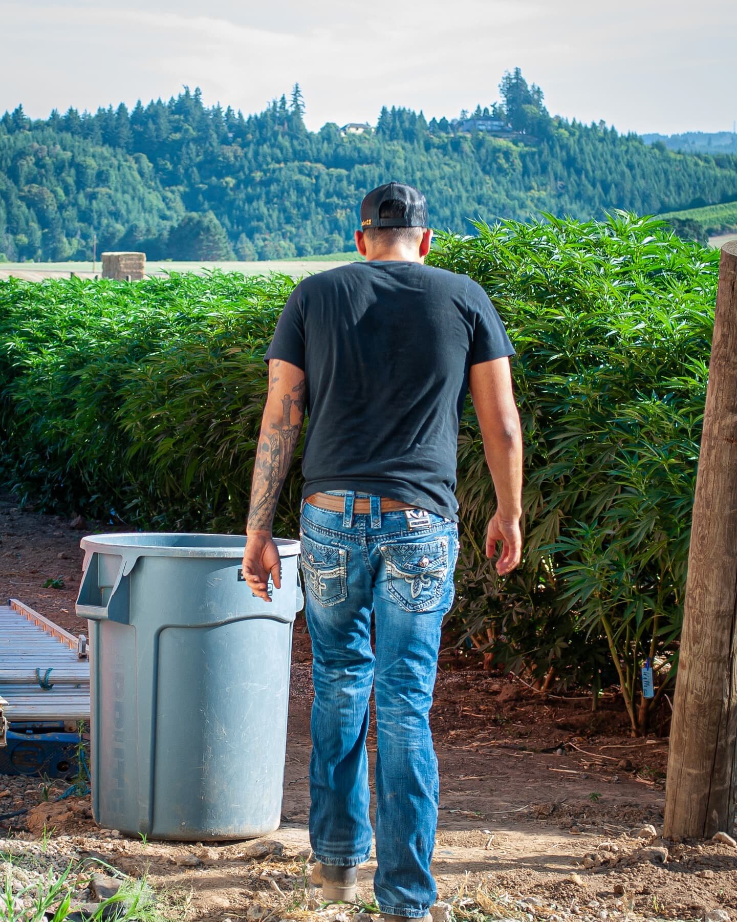 Goodmorning!! Time to get this Wednesday started!! Hope yall have a good day and are having an amazing week half way there lets get it!
.
.
.
.
.
...
.
.
.
.
.
.
.
.
.
#weed #cannabis #cannabiscommunity #cannabisculture #weedporn #weedleaf #weedlife 