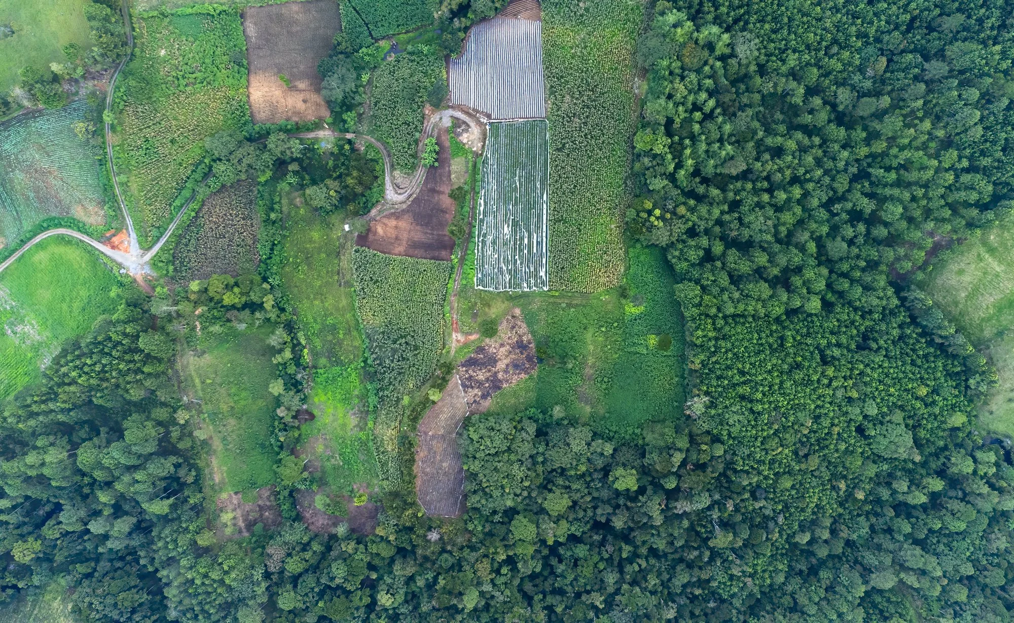 DJI_0779-Editar.jpg