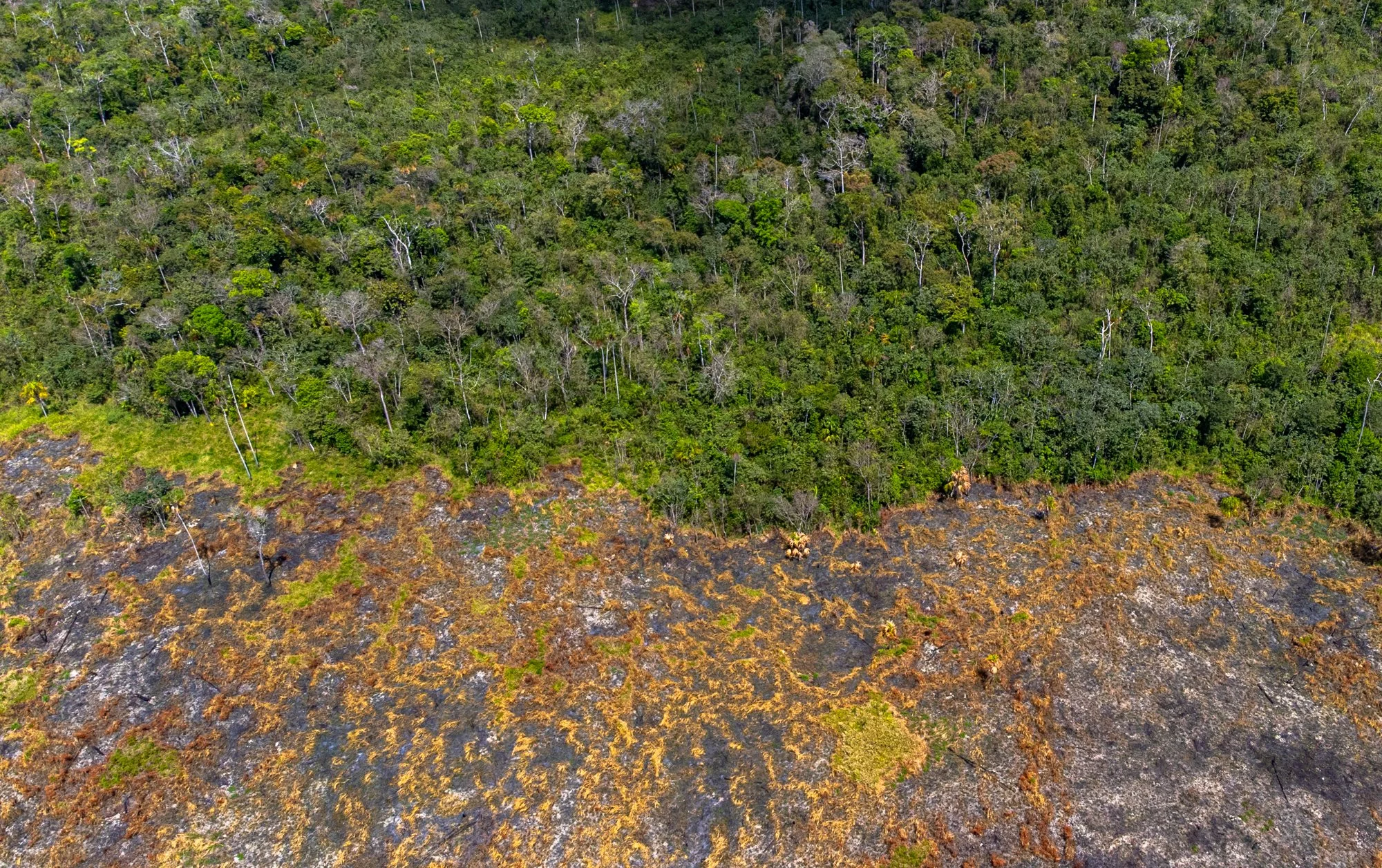 DJI_0313.jpg