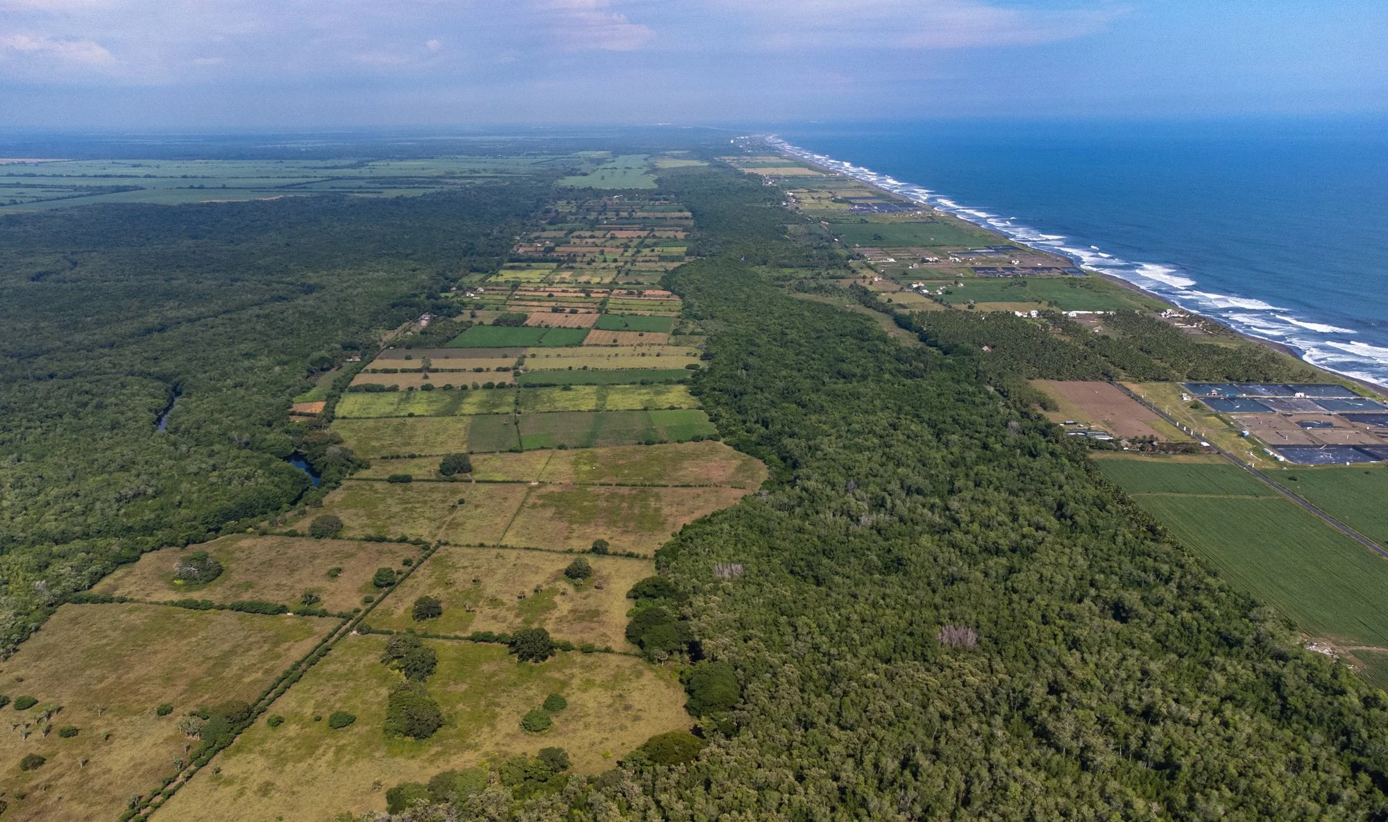 DJI_0865.jpg