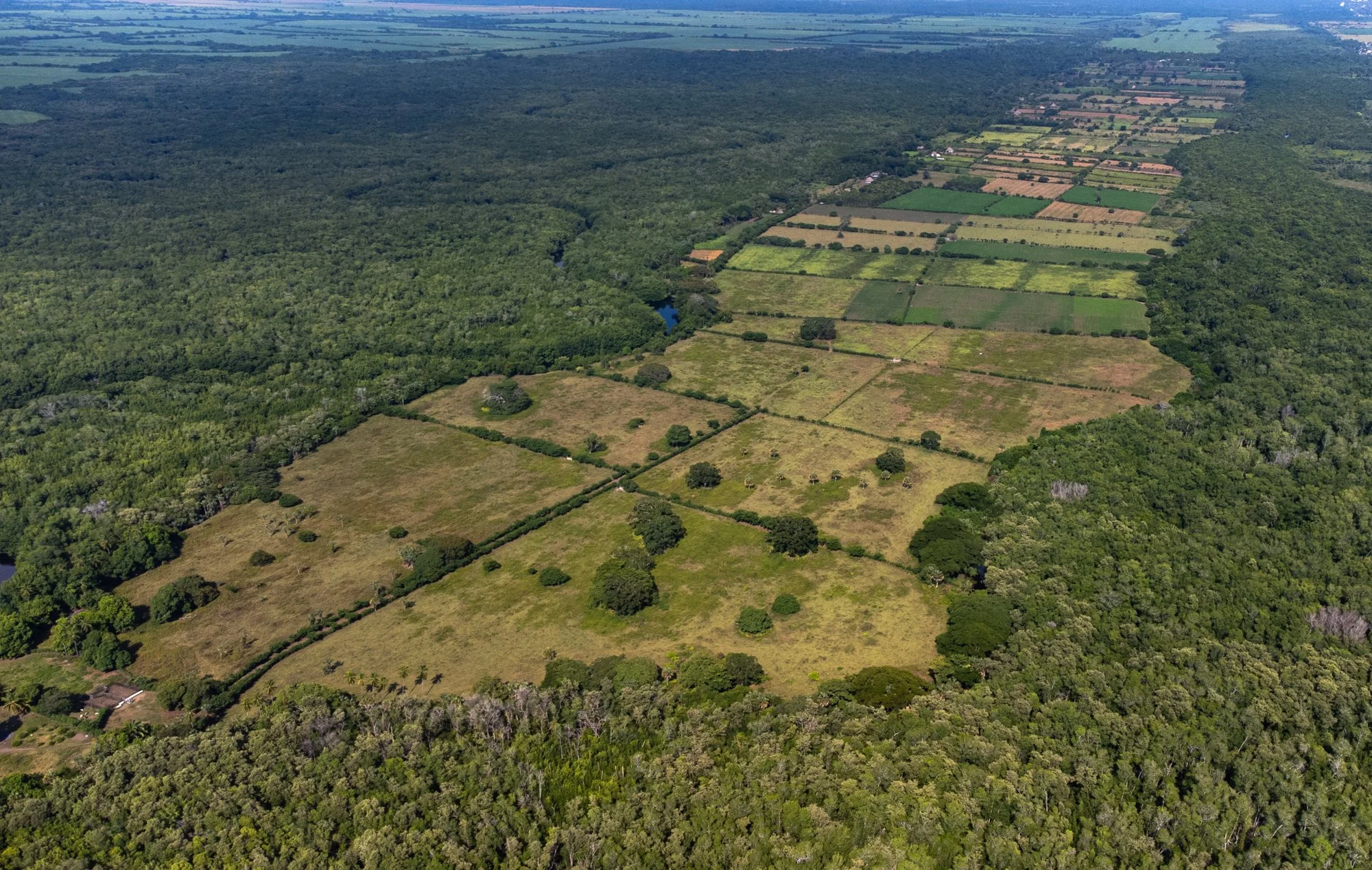DJI_0864.jpg