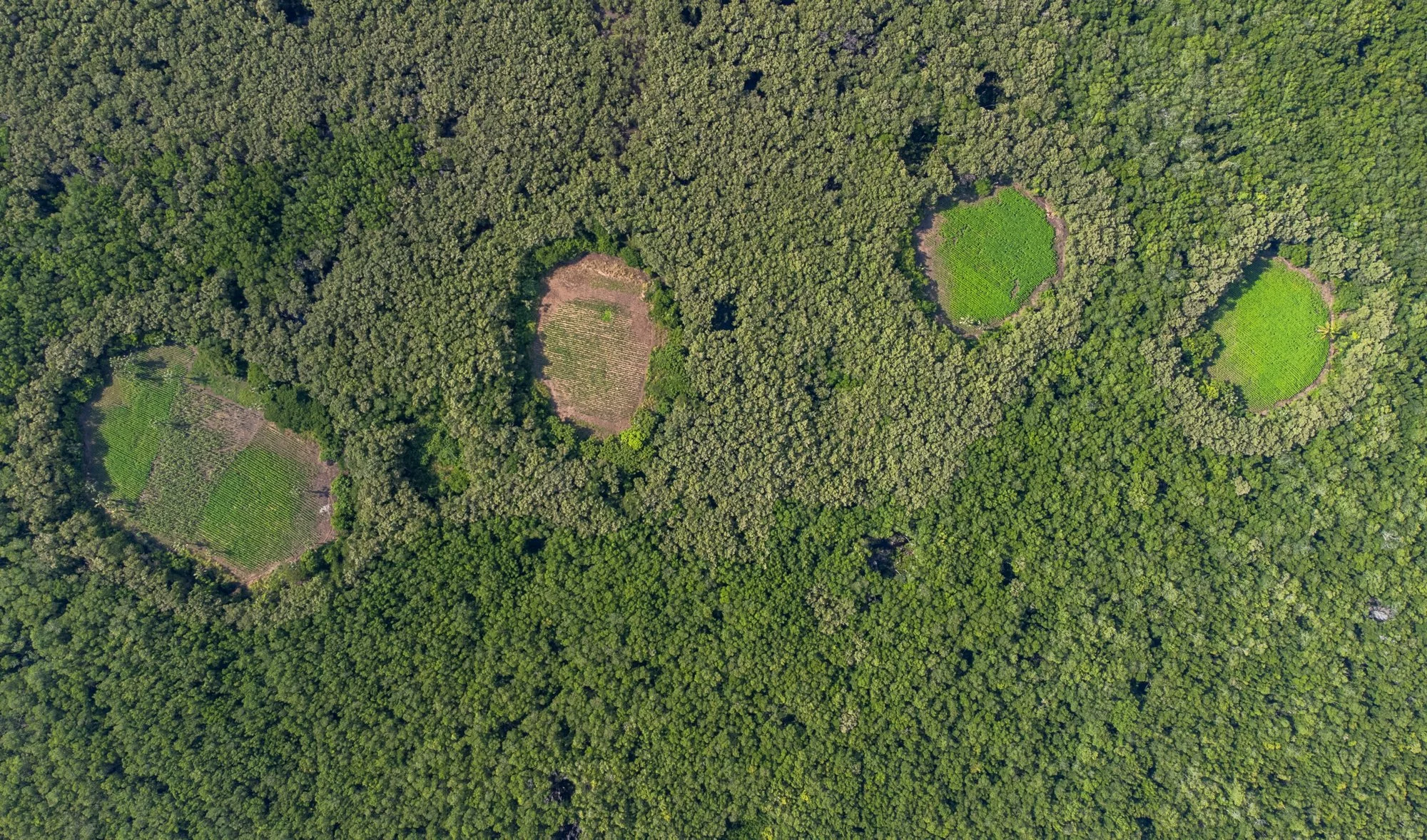 DJI_0871.jpg