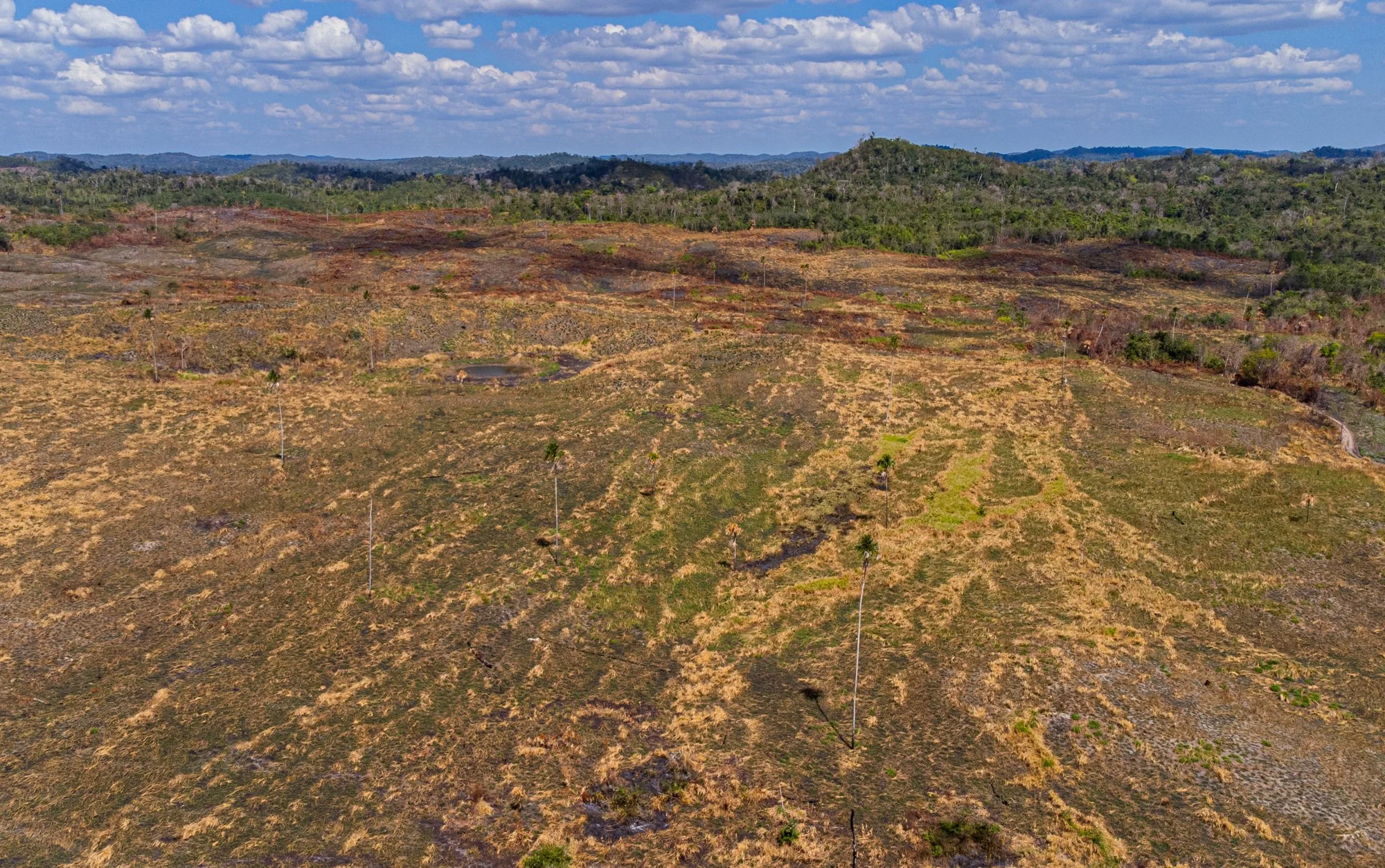 DJI_0303.jpg