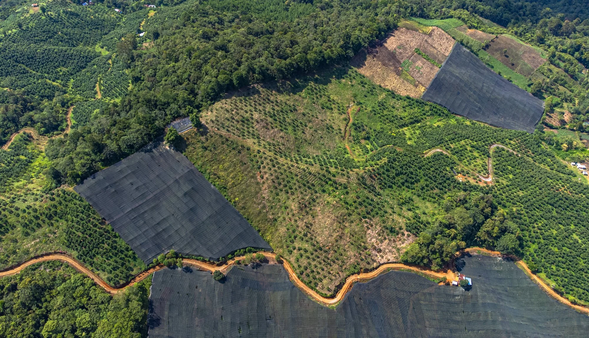 DJI_0662.jpg