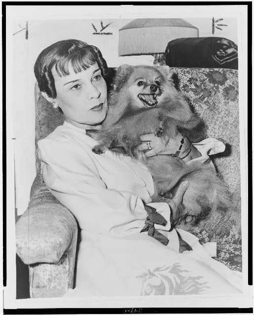 A Valentine from Modernist Women and Their Dogs