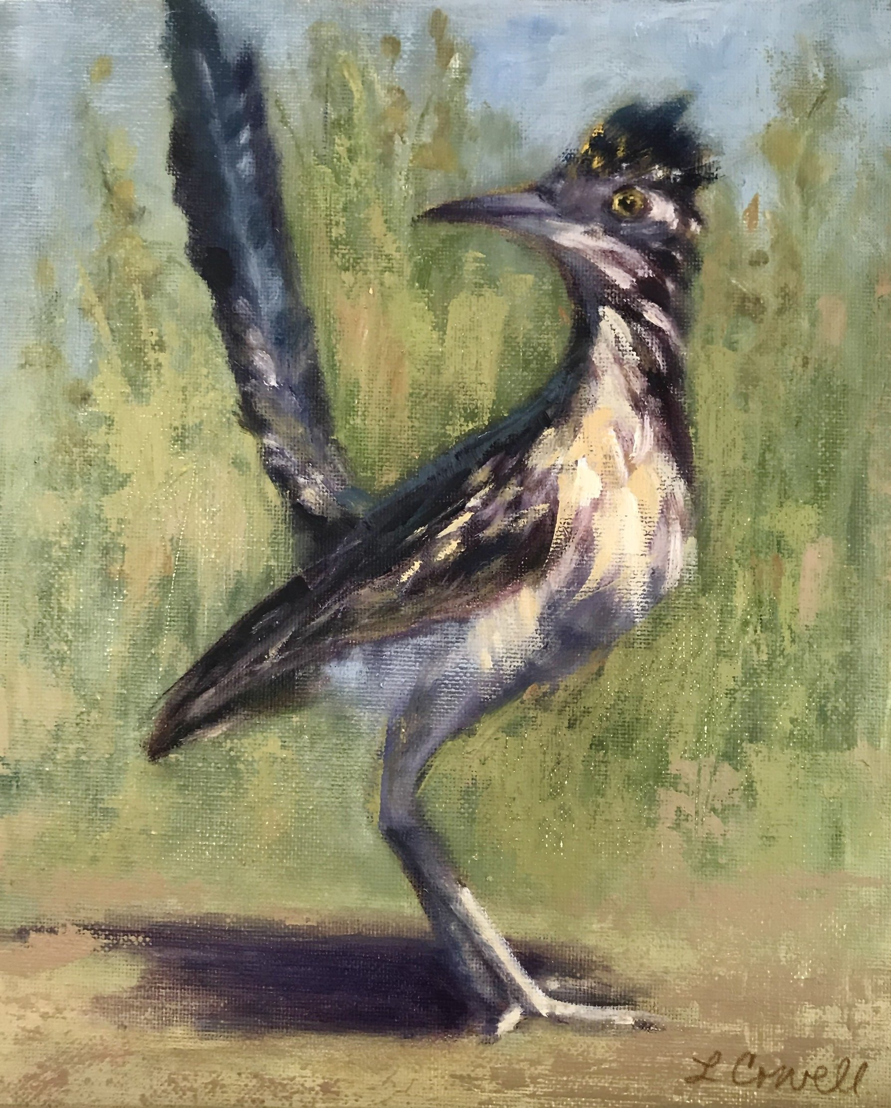 Original SOLD. A modern impressionist oil painting in Local Heritage Collection of a roadrunner with black markings and a crown-like crest on its head, standing on the ground with a greenish and blueish background, available as prints.